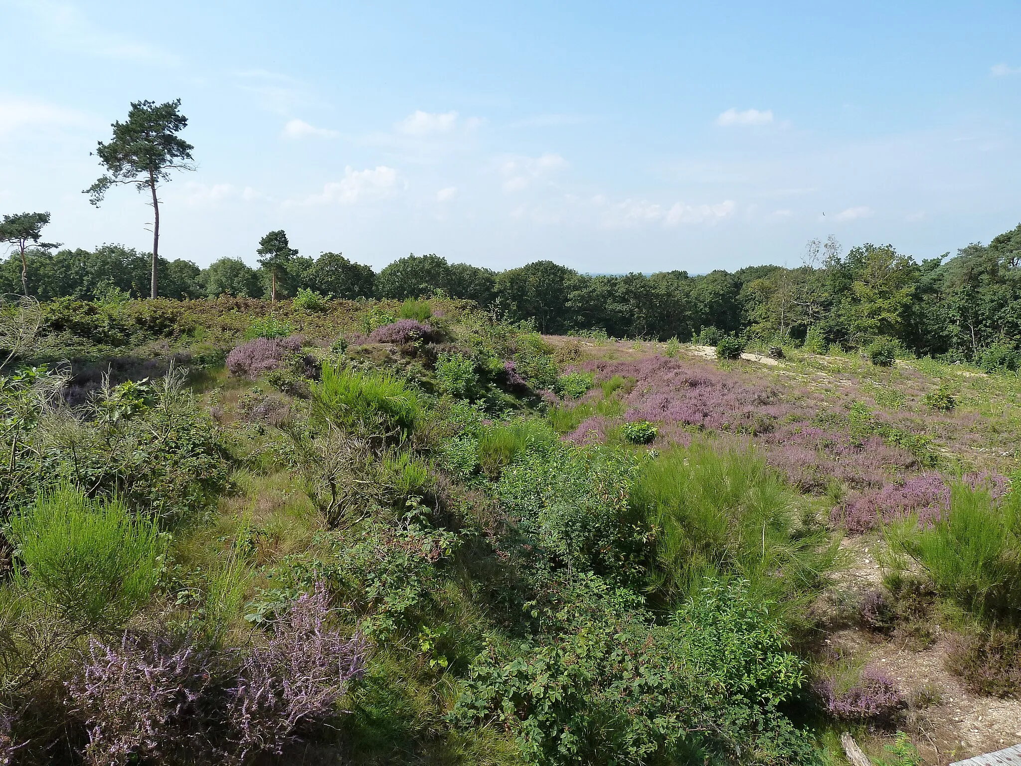 Photo showing: Mookerschans, Mook, Nederland