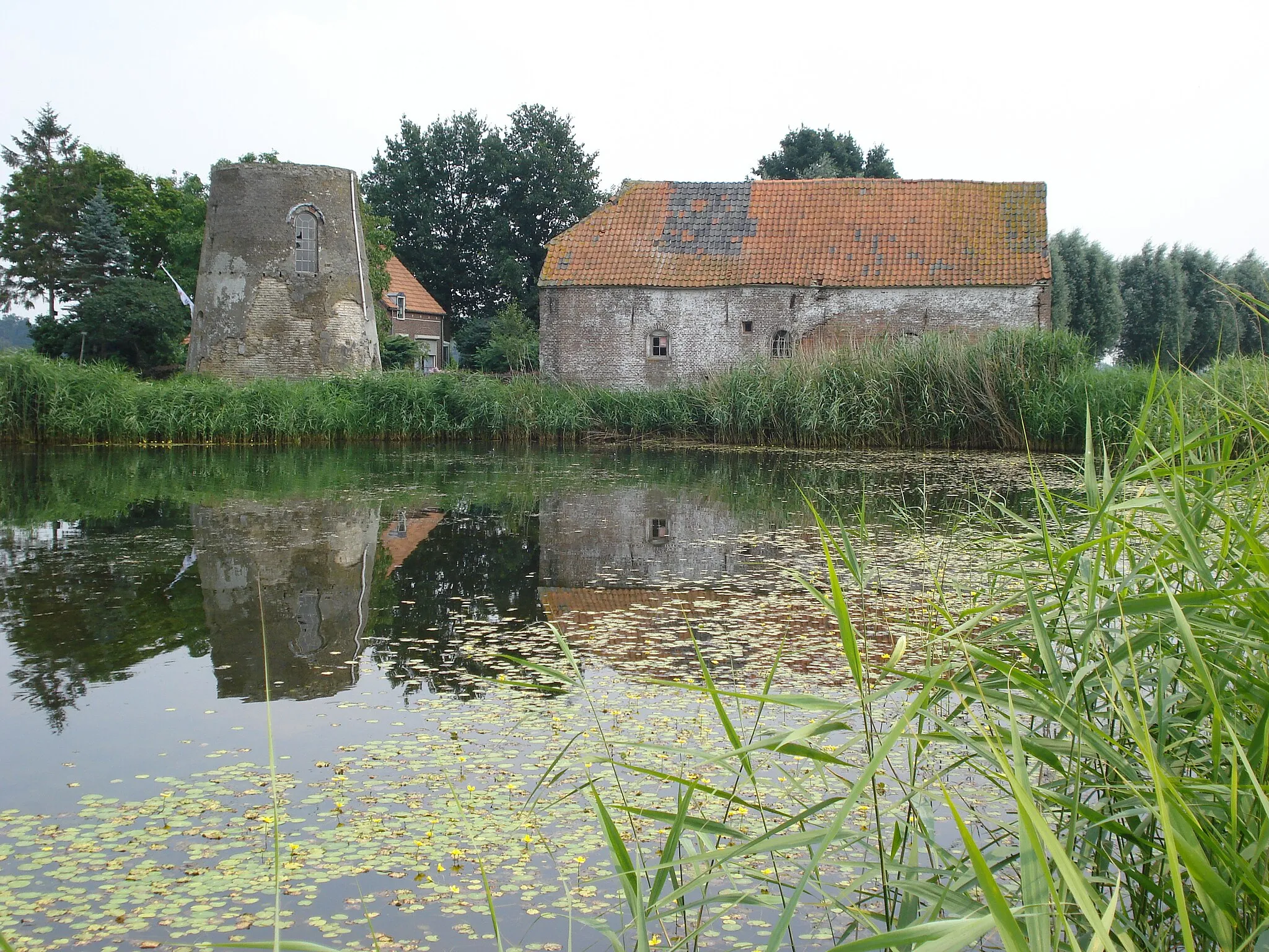 Photo showing: Le moulin de Kilsdonk, moulin à vent doublé d'un moulin d'eau, à restaurer