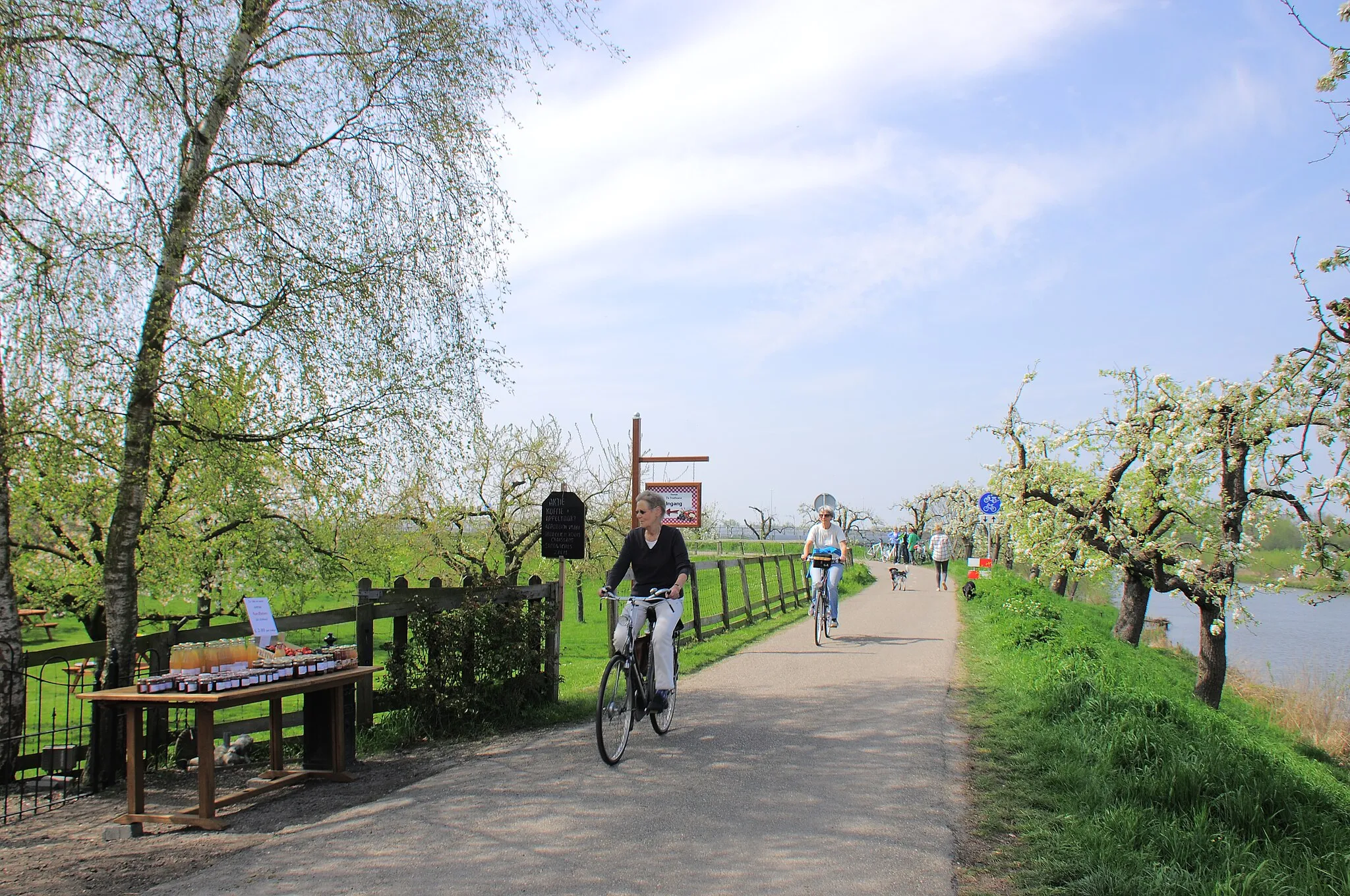 Photo showing: Busy biketraffic at the Tea Garden at Enspijk with all fruit blossom trees at 25 April 2015