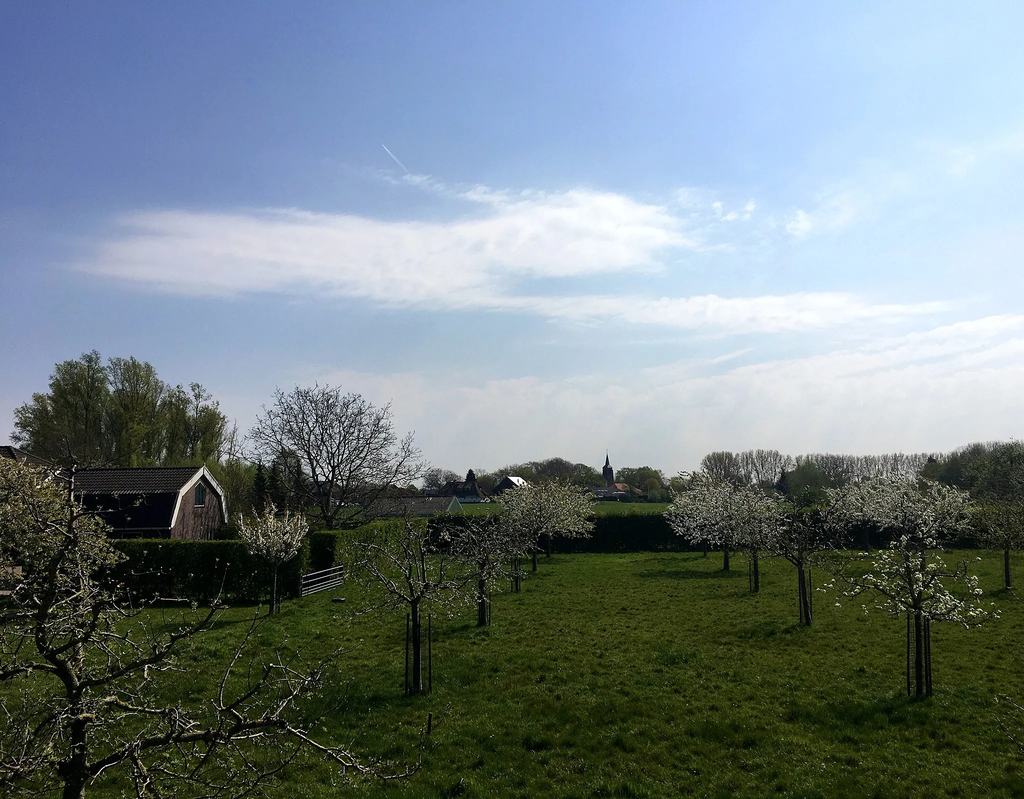 Photo showing: Enspijk (Betuwe, Netherlands) during springtime