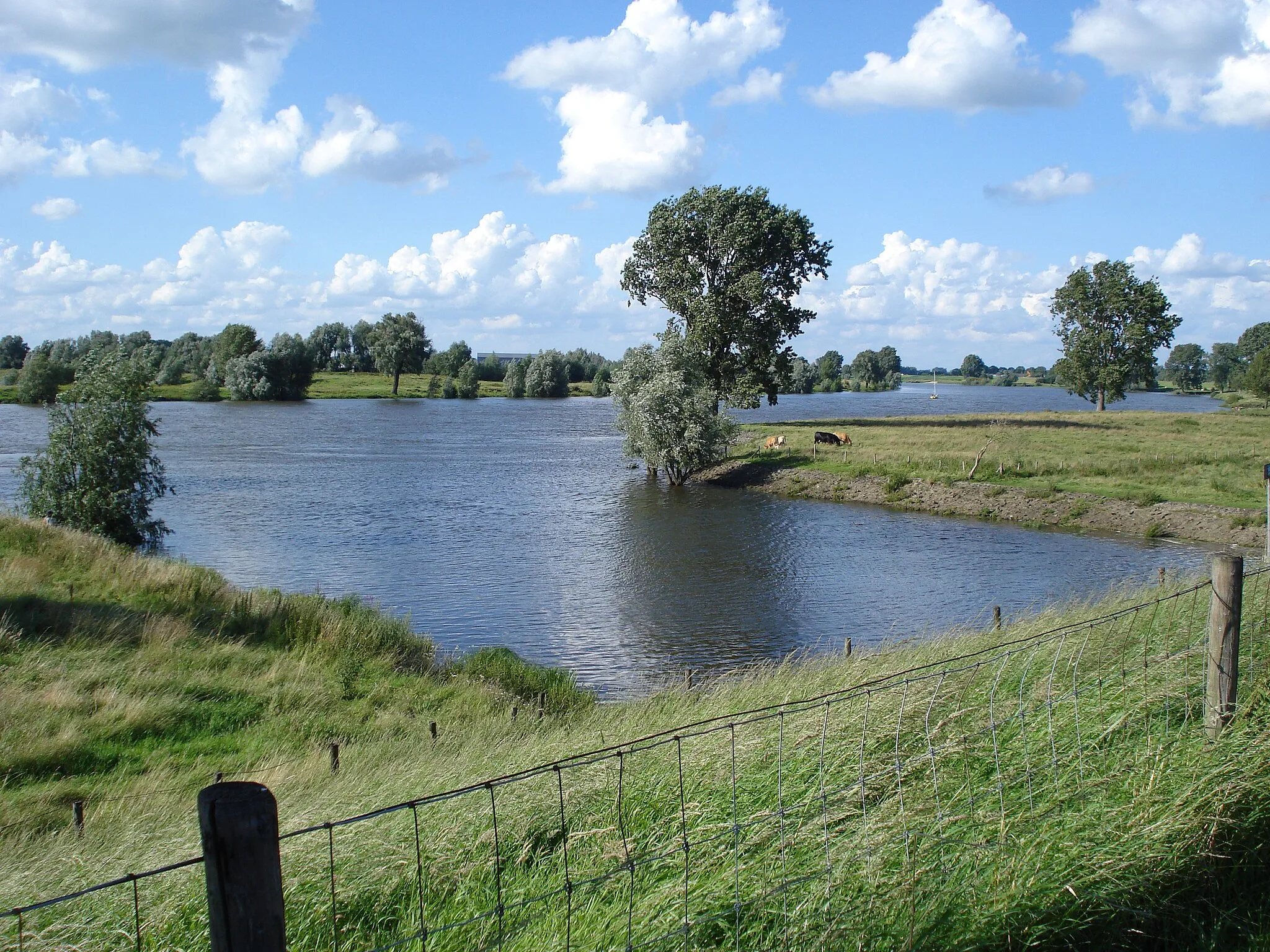 Photo showing: Het Wild, la Hertogswetering se jette dans la Meuse