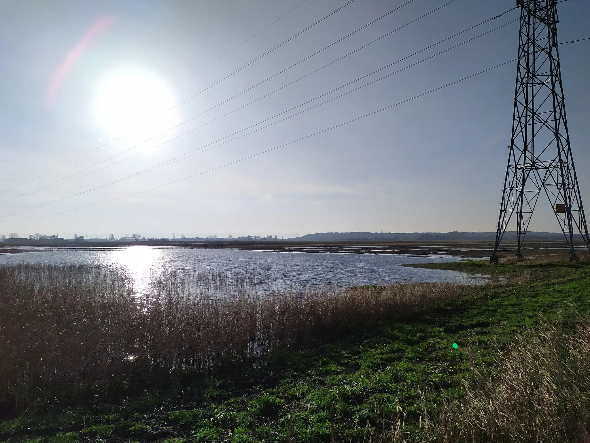 Photo showing: Binnenveldse Hooilanden langs de Grift. Tussen Wageningen en de Grebbeberg.