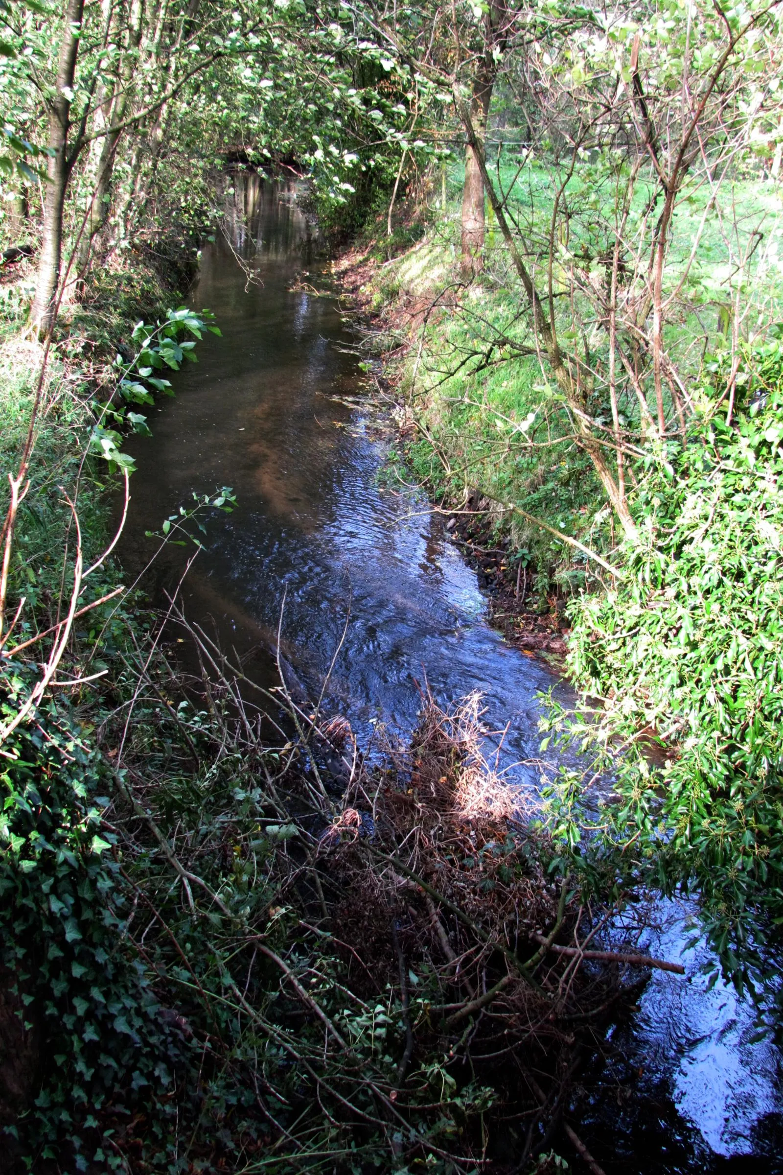 Photo showing: Wassermühle im Kreis Kleve