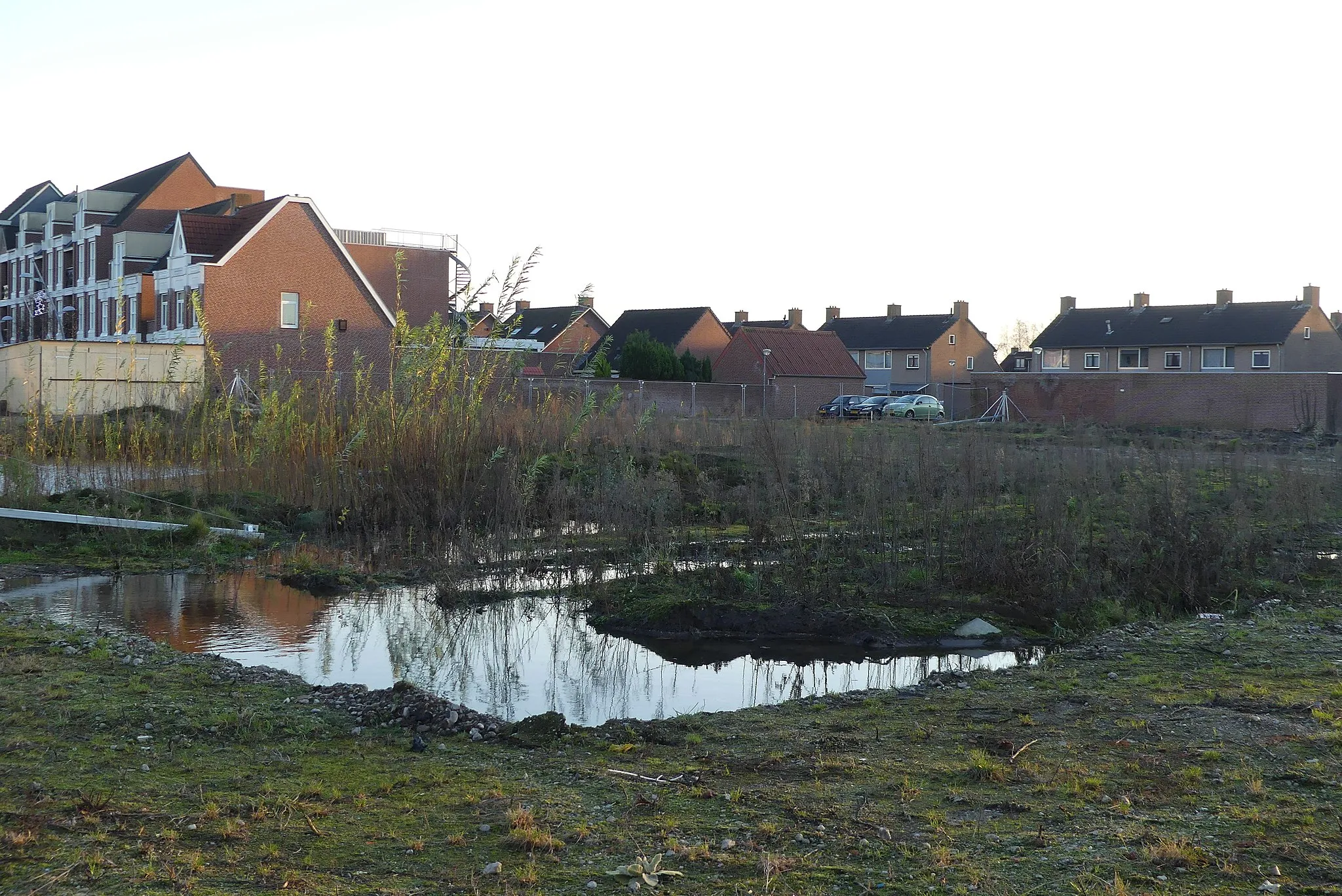 Photo showing: Zicht op een deel van voormalige bouwgrond nabij de Dorpsstraat in Chaam. Tegenwoordig zijn hier appartementen en de Lidl gevestigd