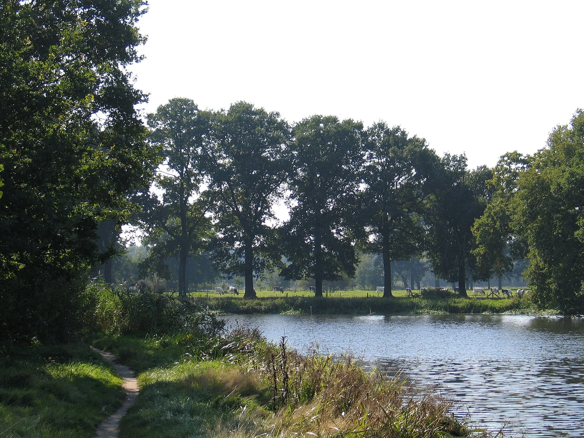 Photo showing: De Dommel tussen Gemonde en Michielsgestel