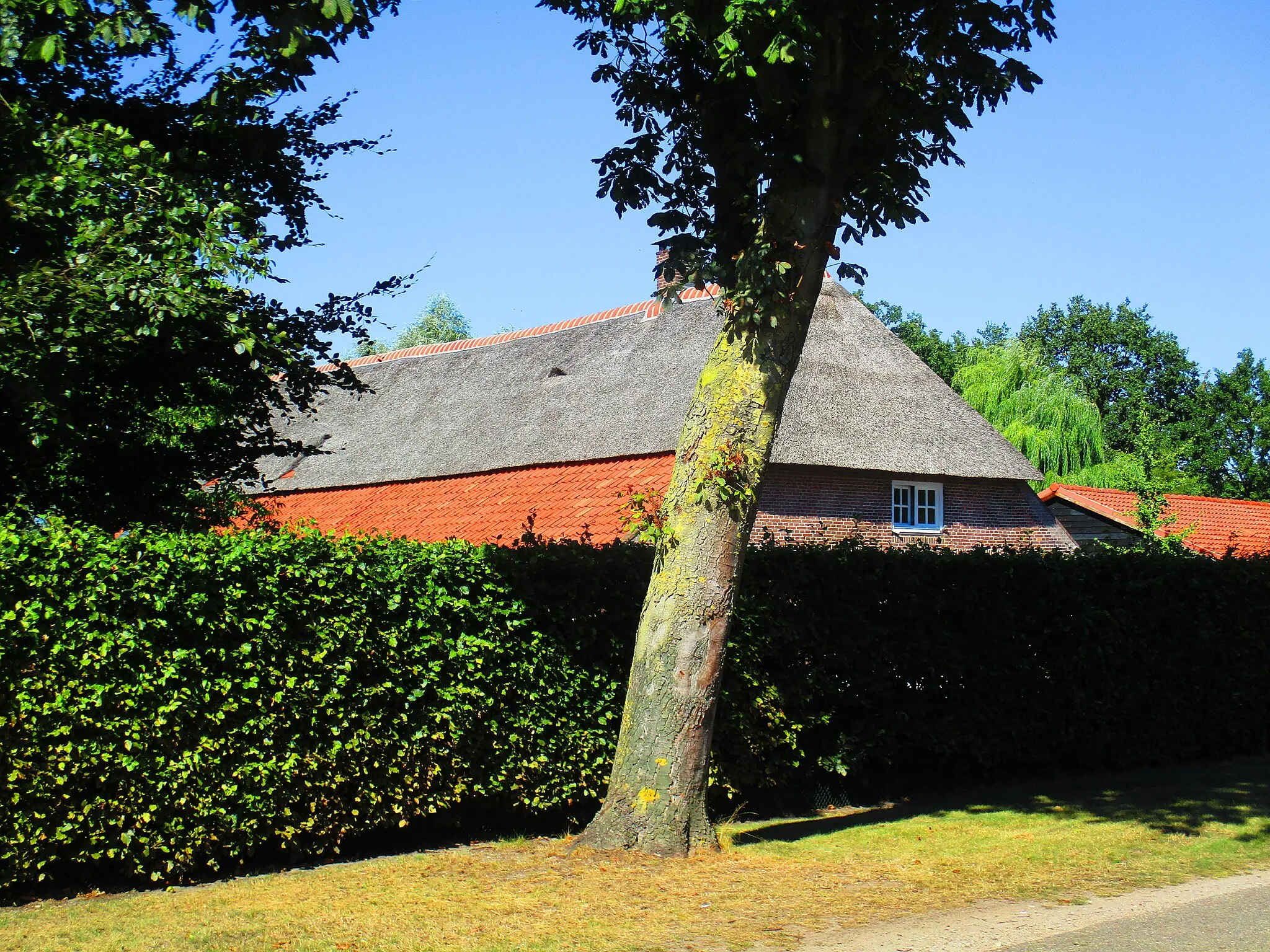 Photo showing: This is an image of a municipal monument in Veghel with number