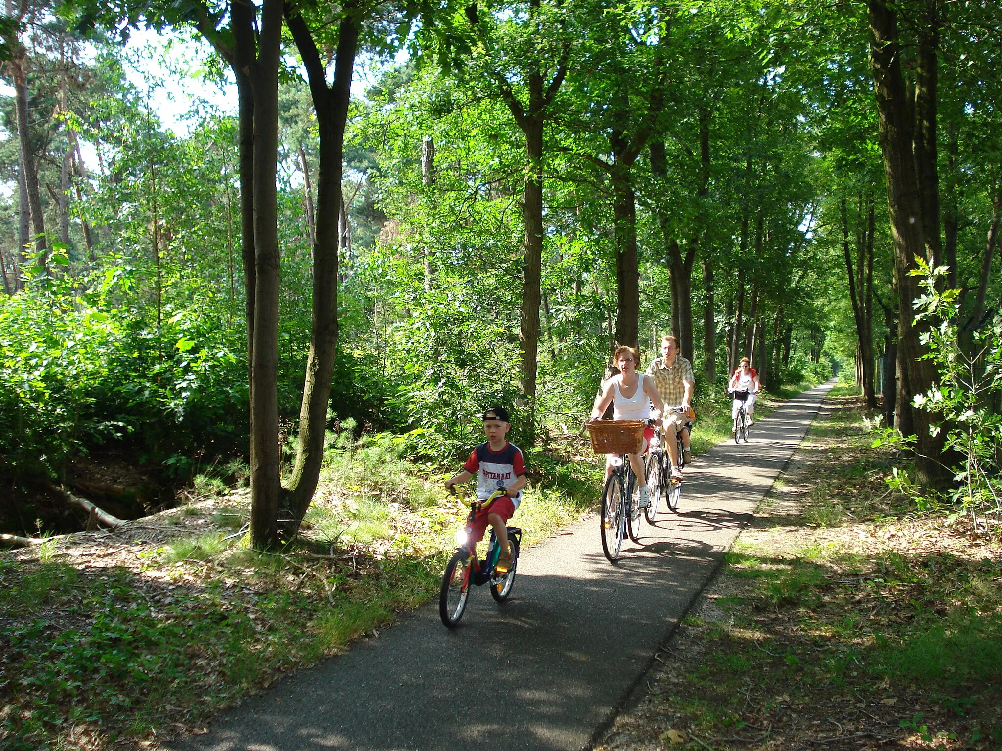 Photo showing: Langenboom, cyclotourisme en forêt de Langenboom