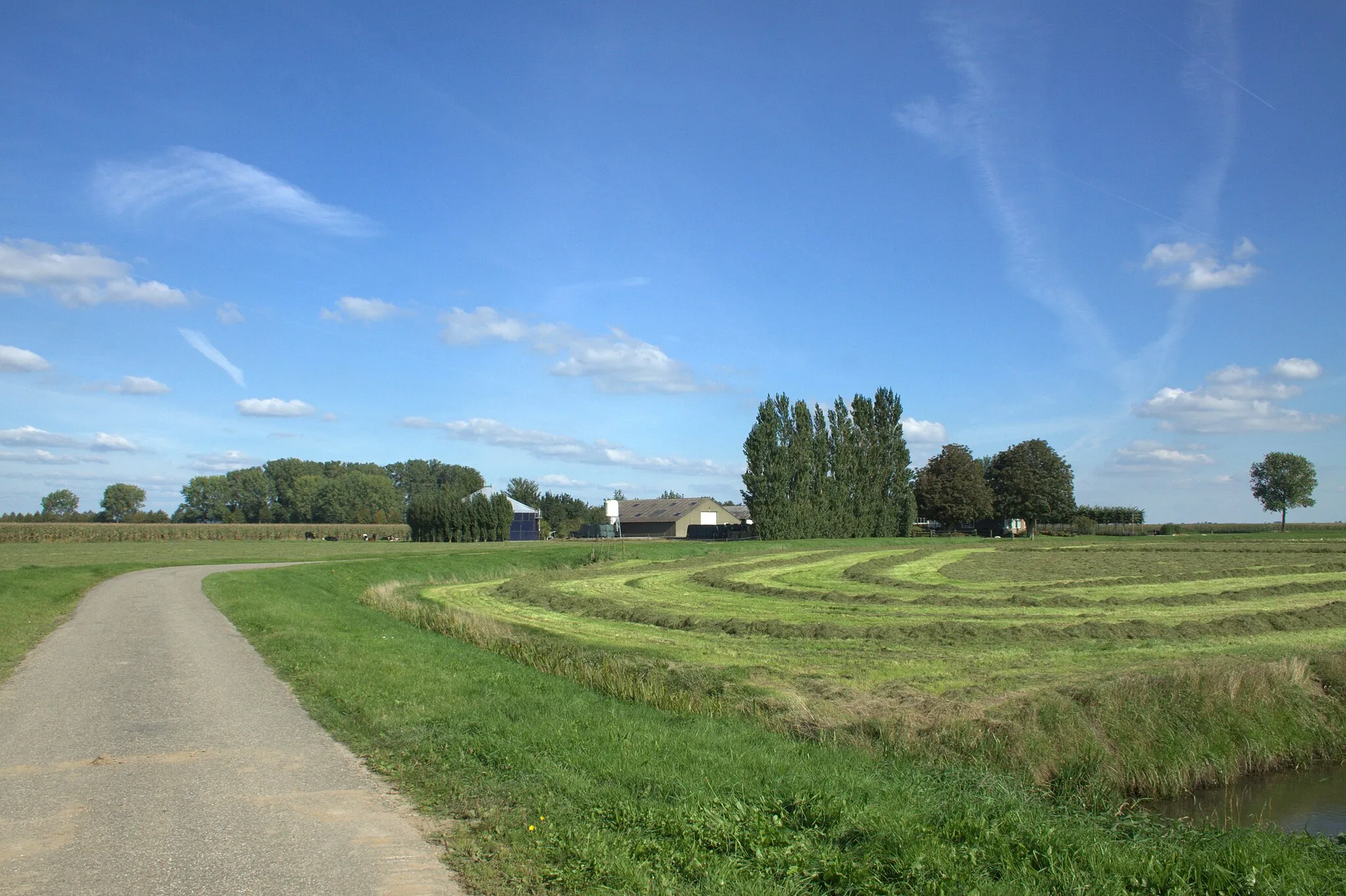 Photo showing: De wandeling van de Noordveldse molen komt door het polderland rondom Dussen.