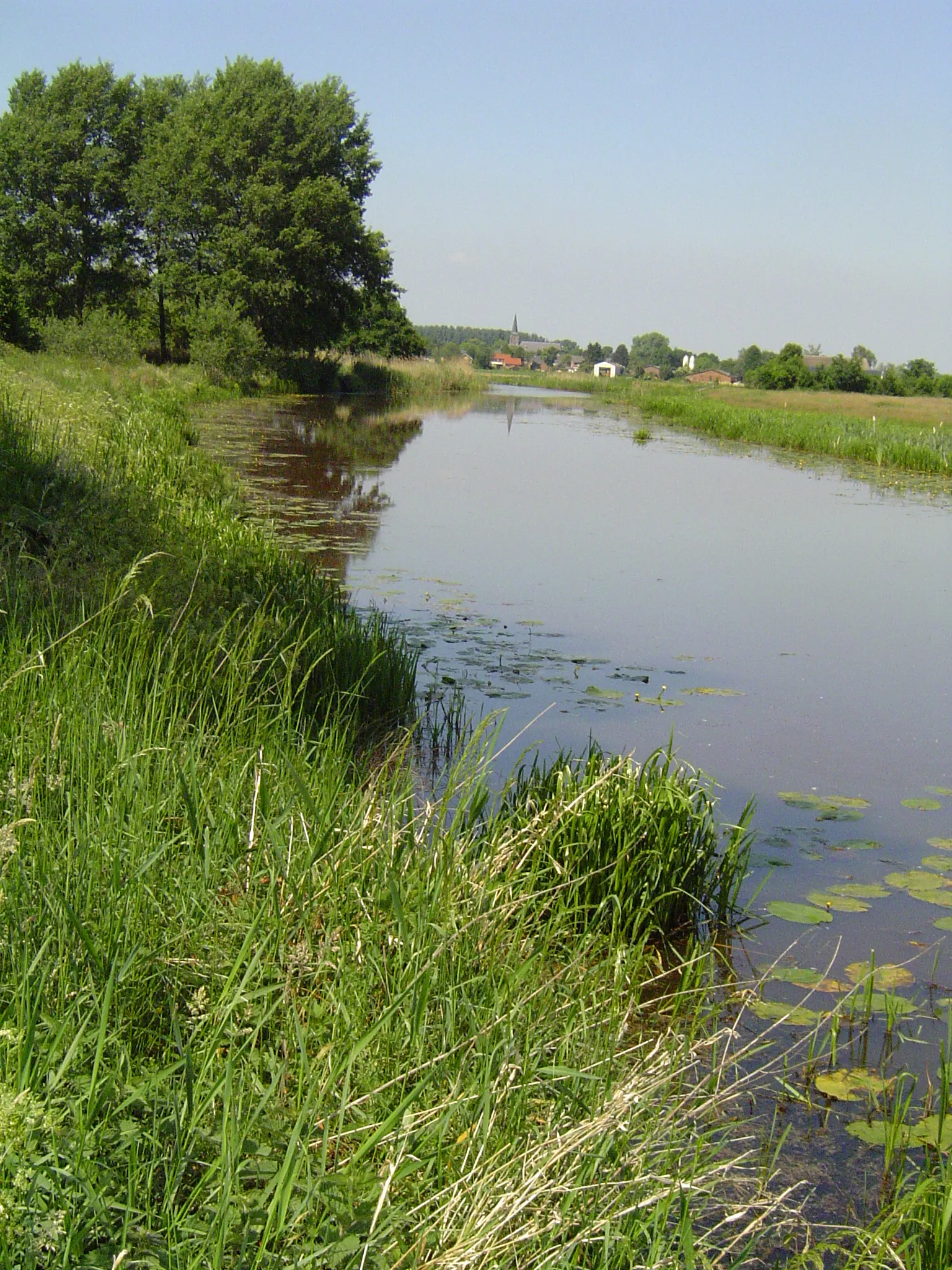 Photo showing: Le Raam en amont d'Escharen