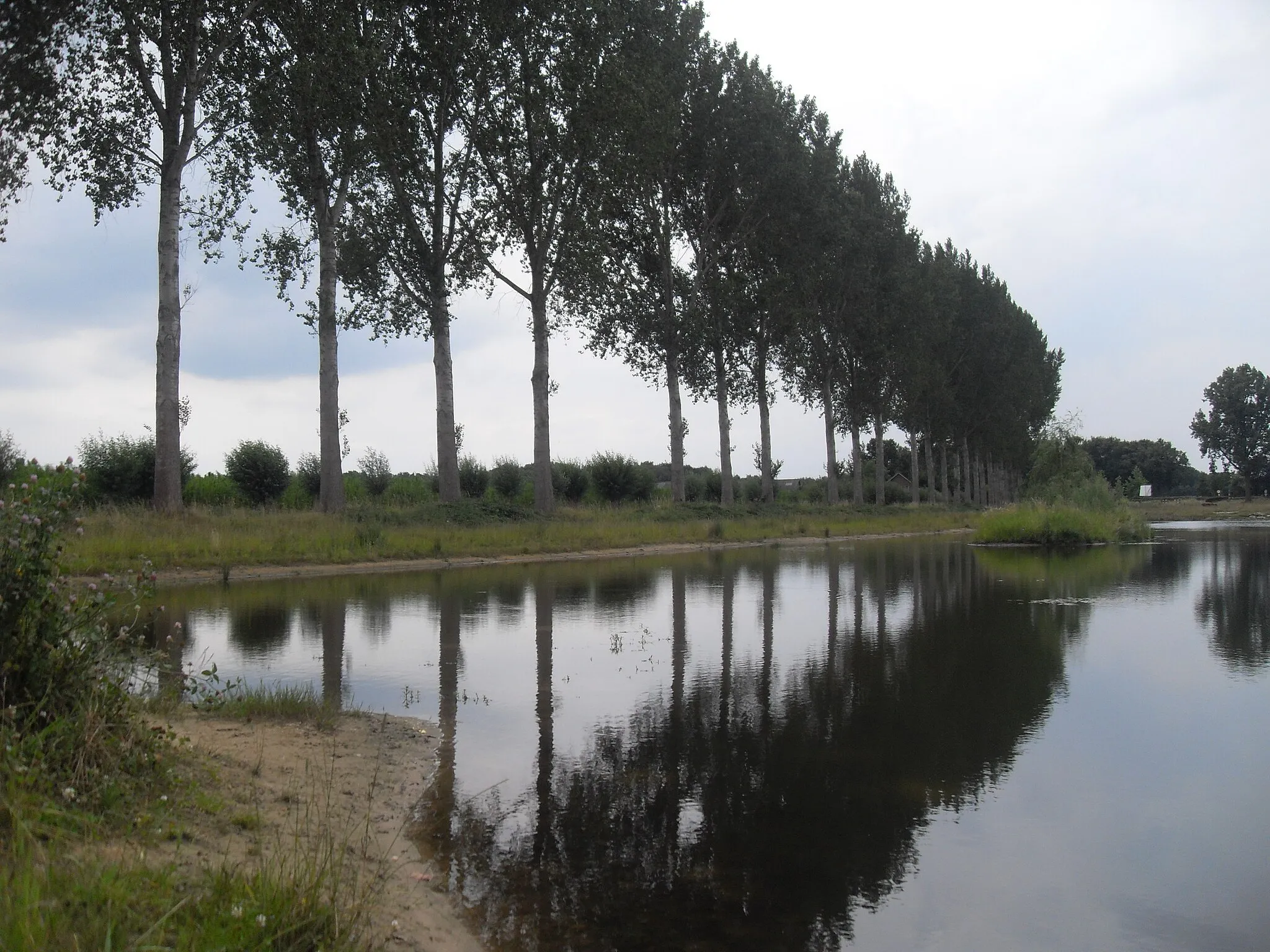 Photo showing: Bomenrij weerspiegelt in het water