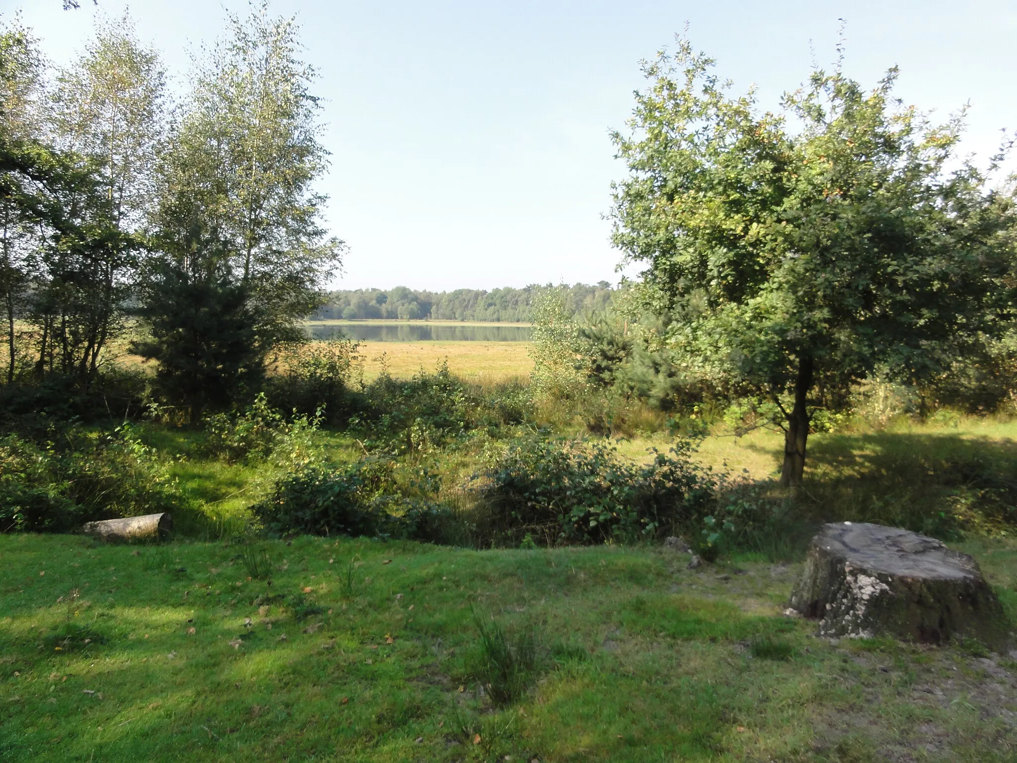 Photo showing: Zicht op deel van natuur rond het Groot Ganzenven in het natuurgebied Heperduin. Gelegen nabij Berghem (Oss) en Herpen