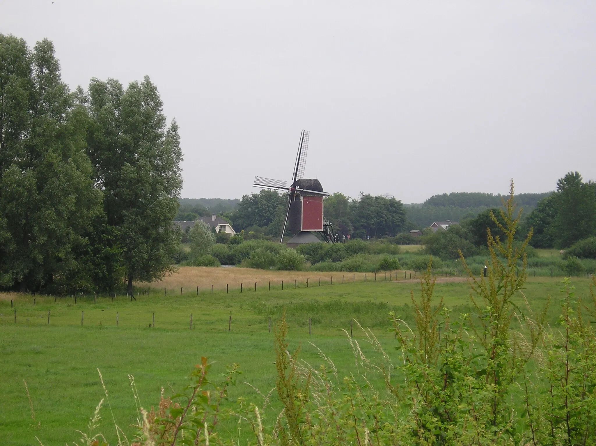 Photo showing: Mill near Nederasselt