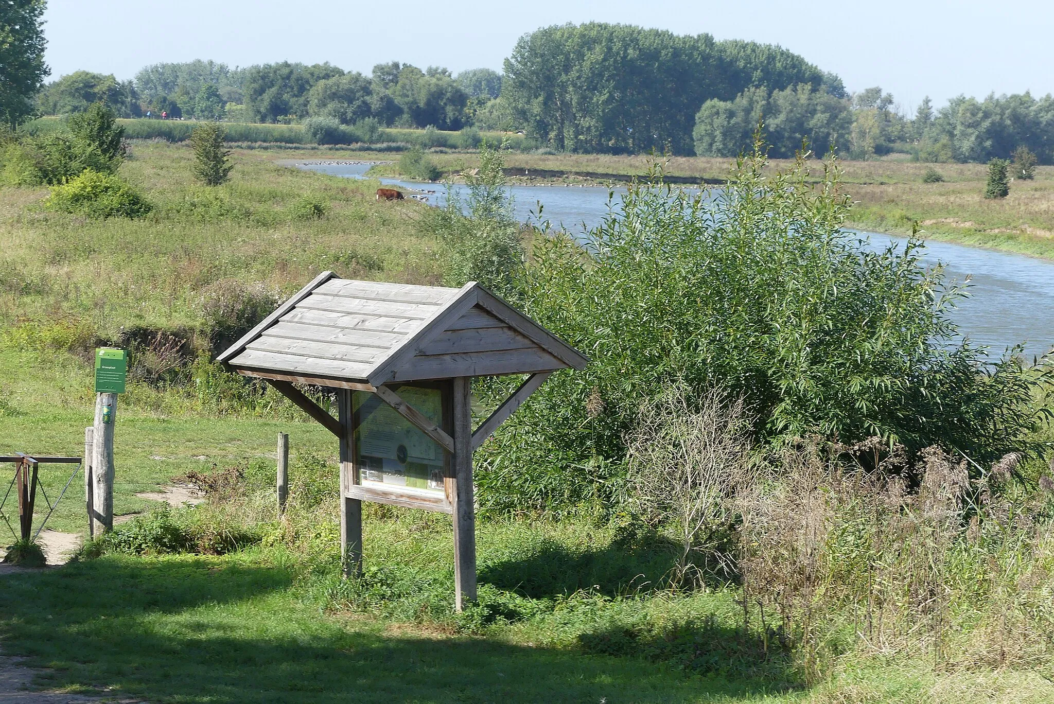 Photo showing: Zicht op een deel van de natuur nabij het natuurgebied de Groesplaat