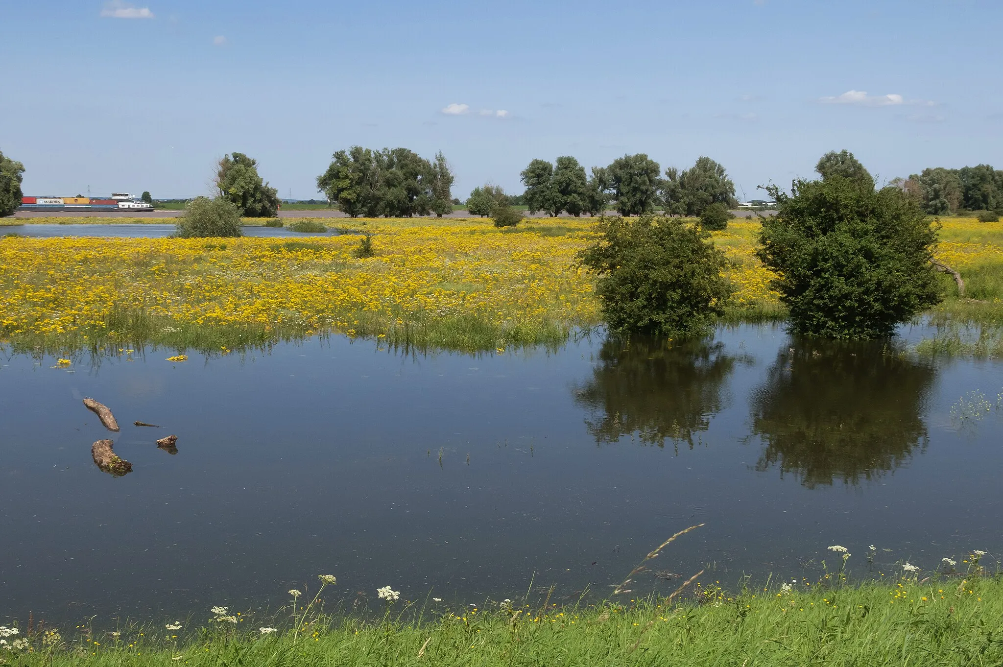 Photo showing: Beuningen, the Beuningse Uiterwaarden (floodplans) near the Waardhuizenstraat during high water in the Waal river