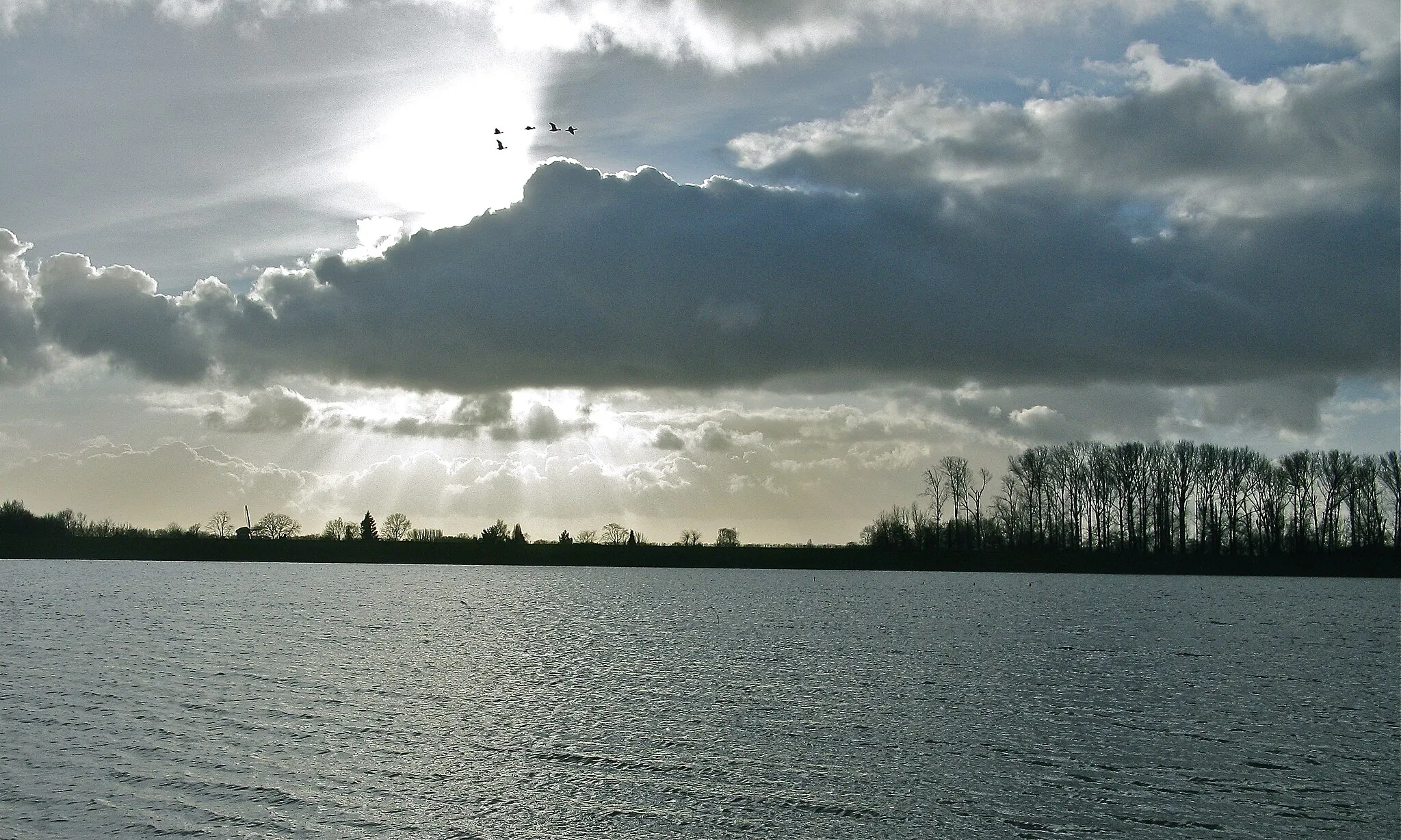 Photo showing: Near Winssen in the netherlands