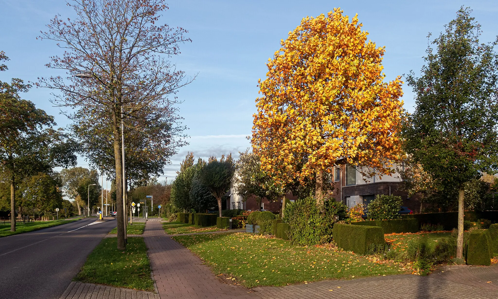 Photo showing: Bemmel, street view: the Ressensesstraat