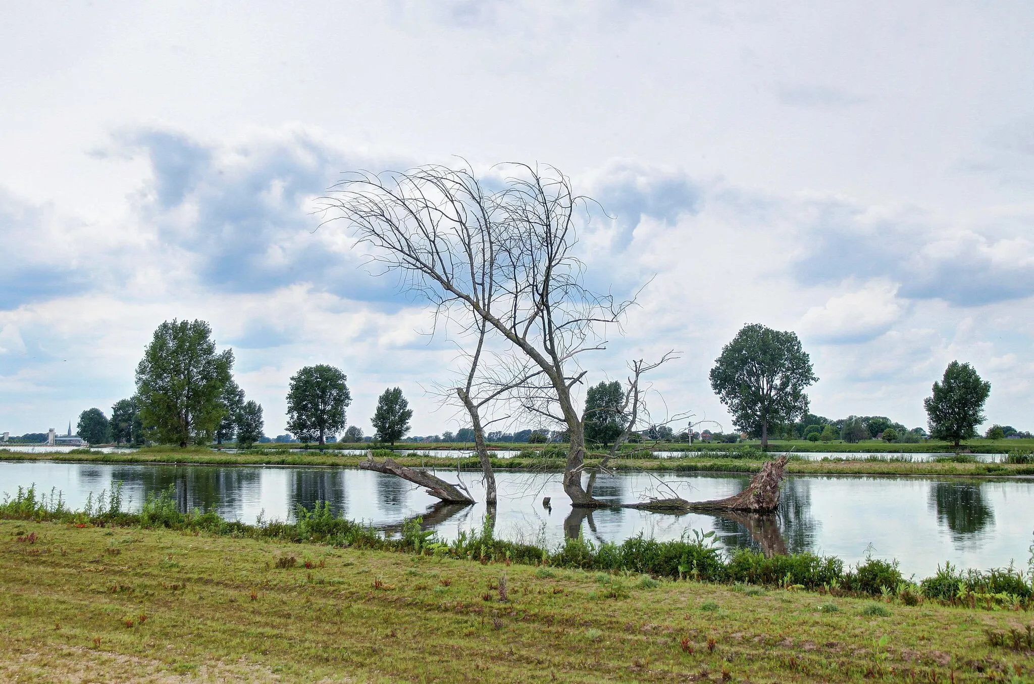 Photo showing: Natuurgebied Hemelrijkse Waard nabij Oijen, Noord-Brabant in de uiterwaarden en voormalige zijarm van rivier de Maas