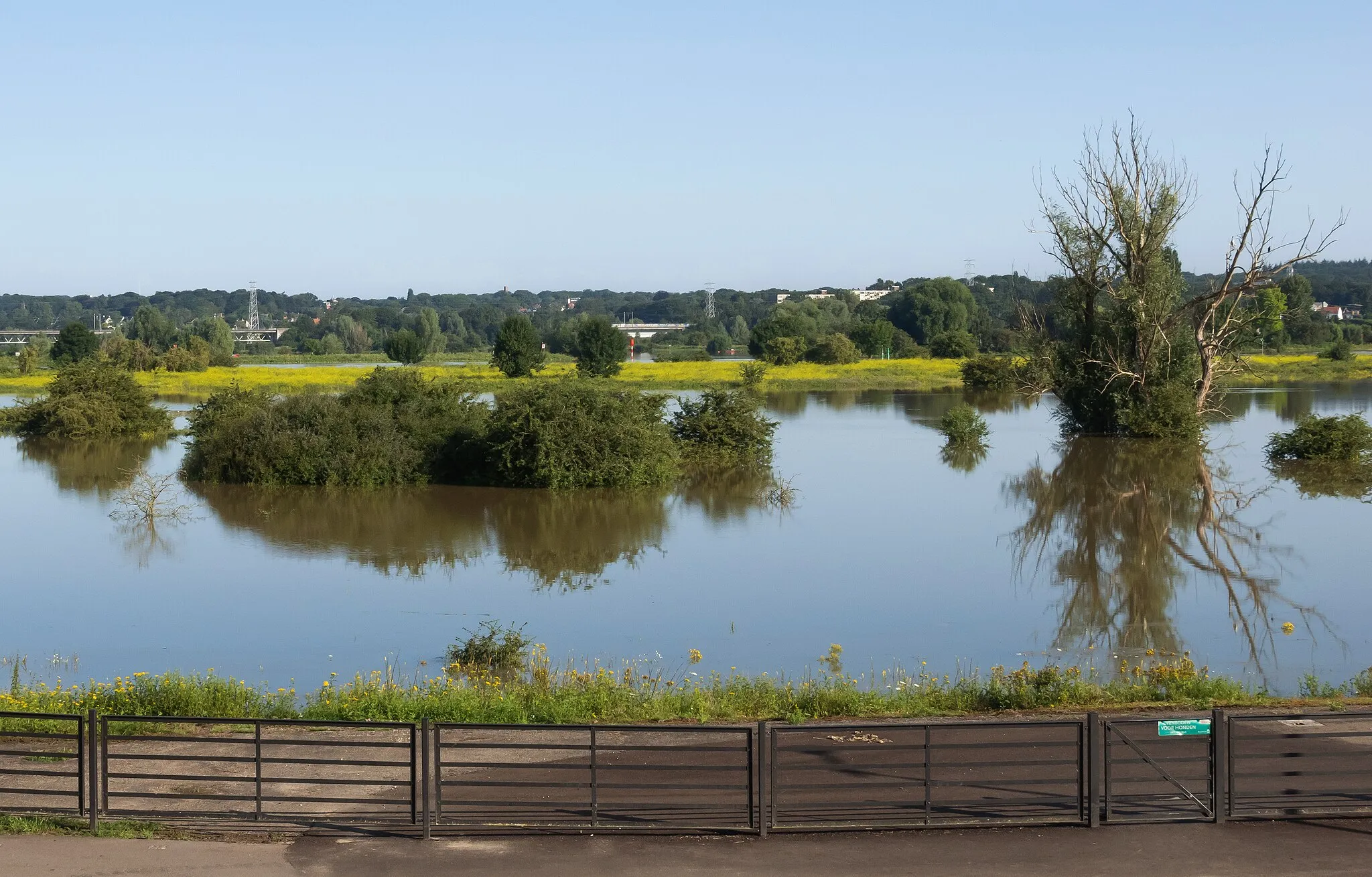 Photo showing: Arnhem-Meinerswijk, view to the uiterwaarden near the Meginhardweg during high water in the Rhine river