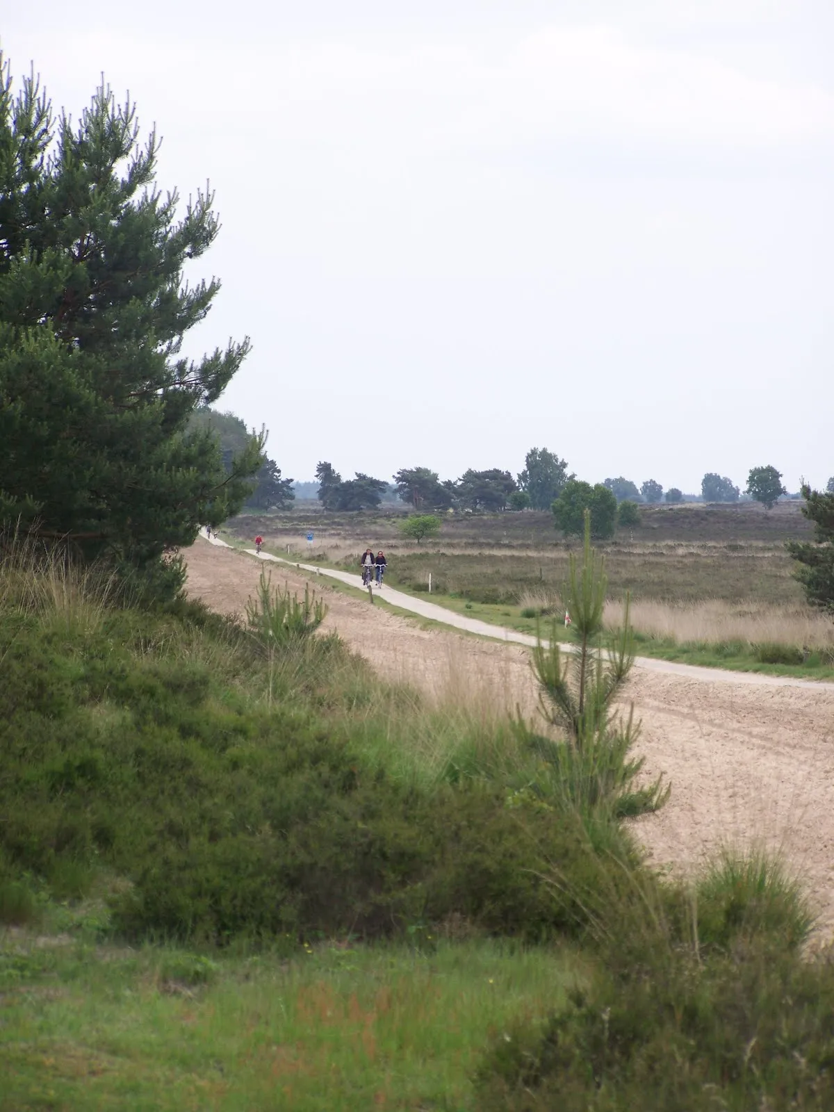 Photo showing: Hessenweg Eastwards