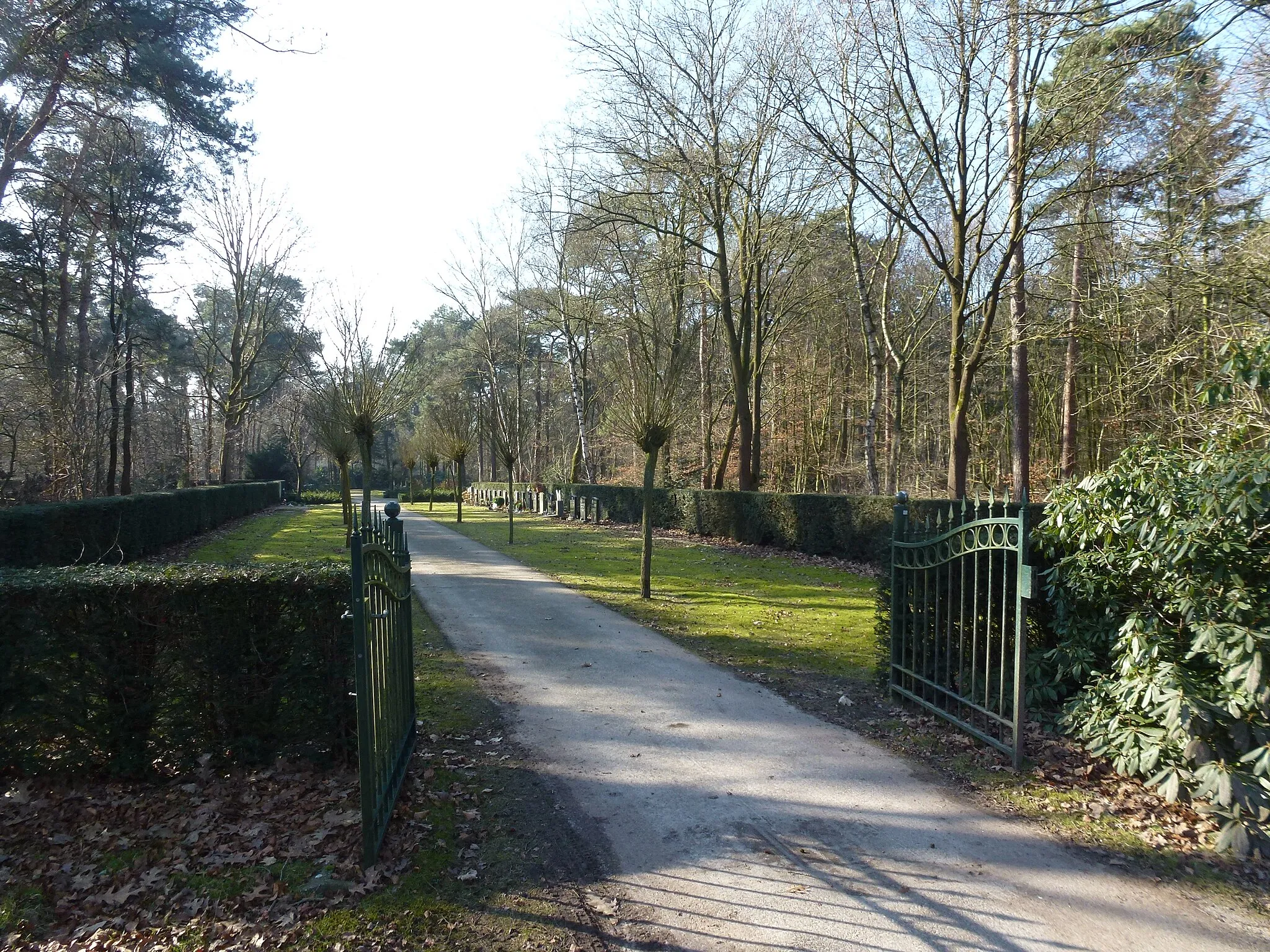 Photo showing: Begraafplaats Albertlaan Sterksel