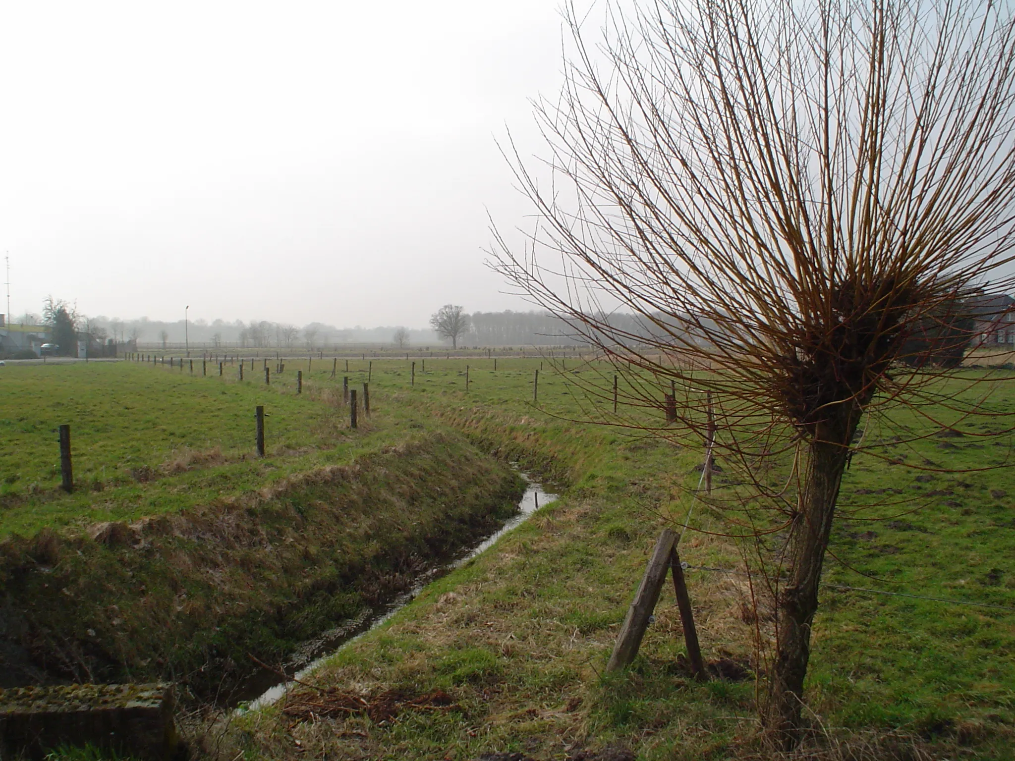 Photo showing: The stream Poelenloop, near the Knegselseweg in Veldhoven, Netherlands