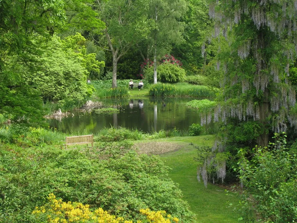 Photo showing: Arboretum_Kalmthout,_20090521.jpg