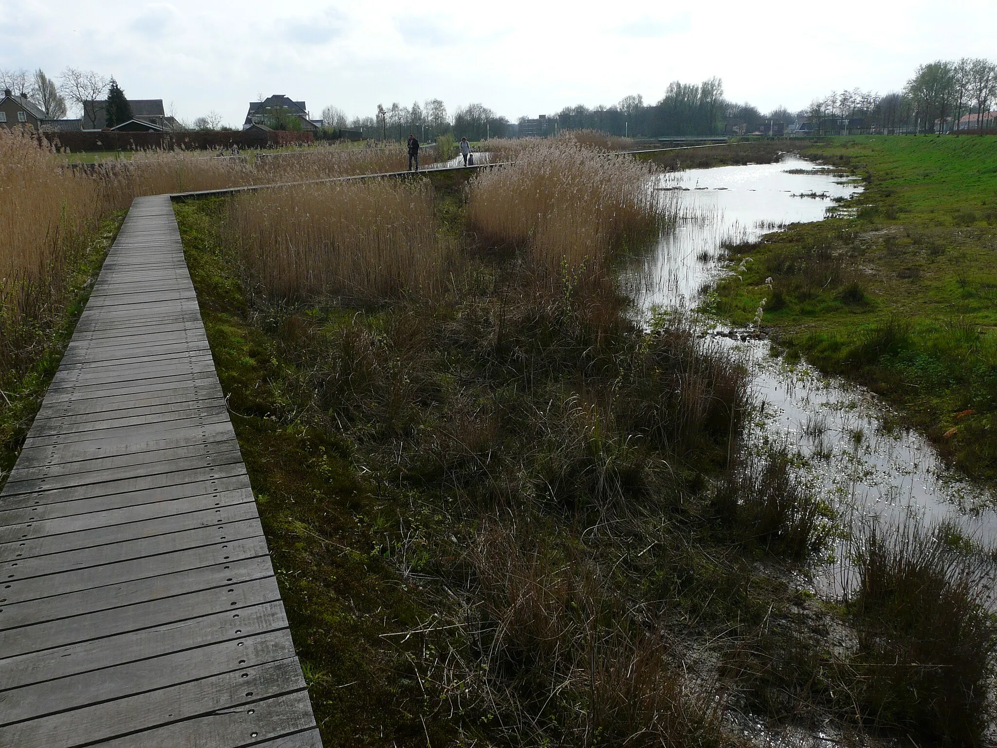 Photo showing: Zicht op een deel van de Bavelse Leij en het natuurgebied tussen Nieuw Wolfslaar en de IJpelaar in het zuidoosten van Breda