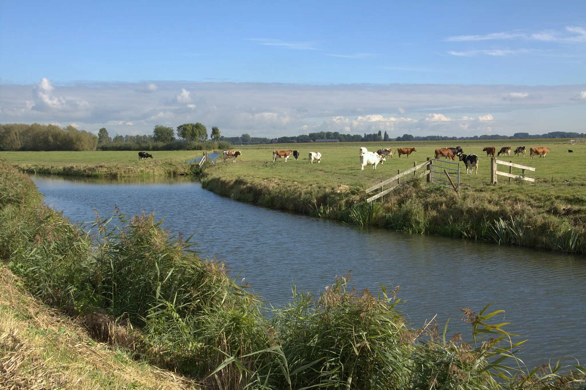 Photo showing: Een blik over de Achterwetering vanaf de Sluisweg en over de Polder Rietveld bij Arkel.