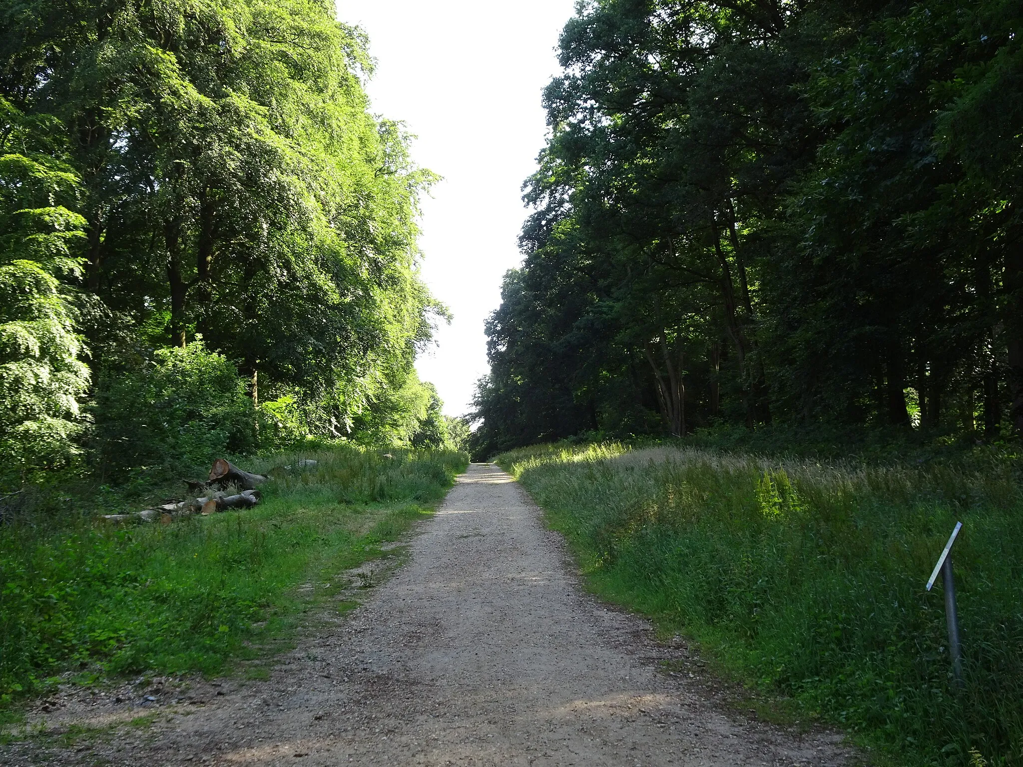 Photo showing: LSG Waldgebiet des Tiergartenwaldes