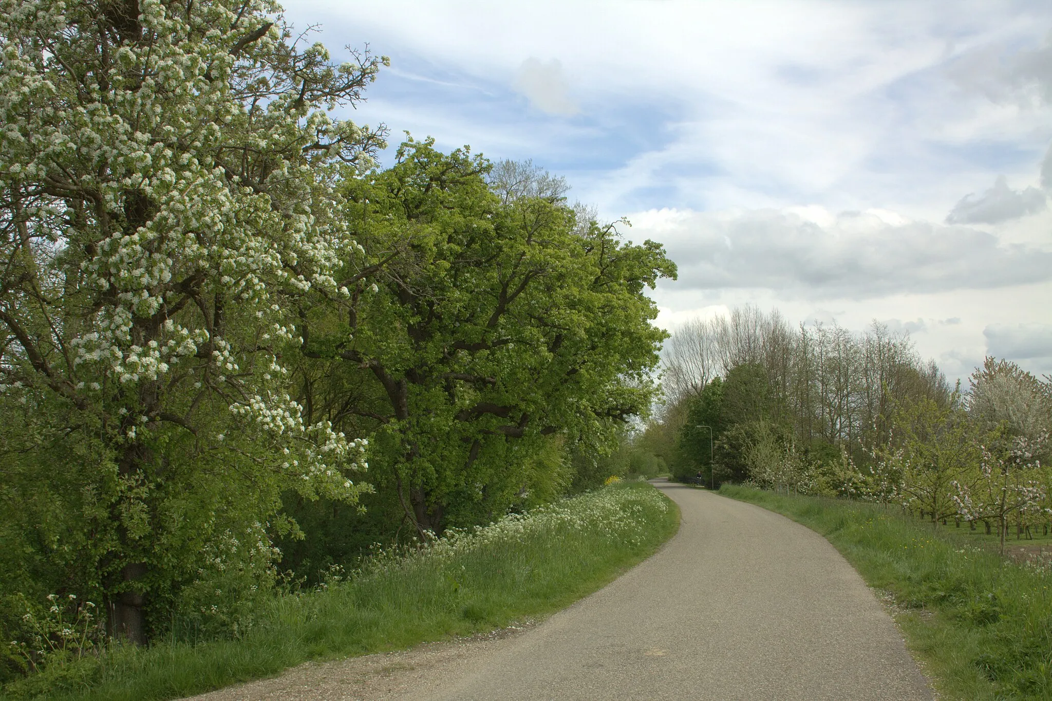 Photo showing: Een mooi stukje onbewoond op de Polderdijk, die dan eigenlijk de Lingedijk is.