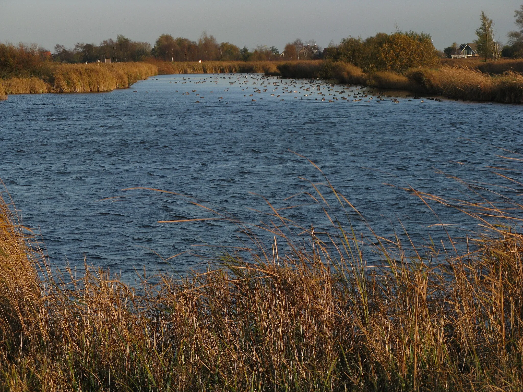 Photo showing: landscape, Stootersplas, Het Twiske, Oostzaan