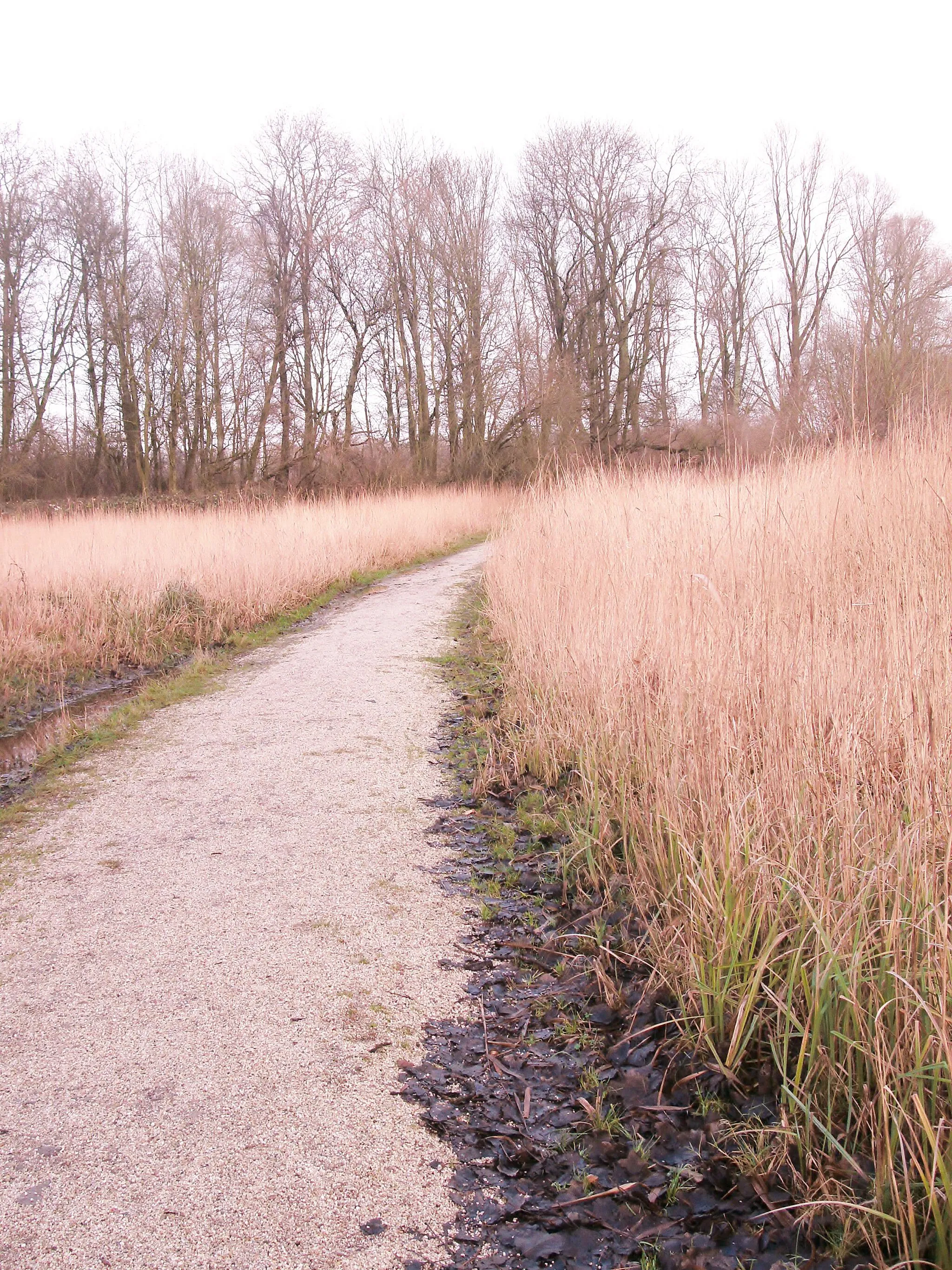 Photo showing: Nature Loving