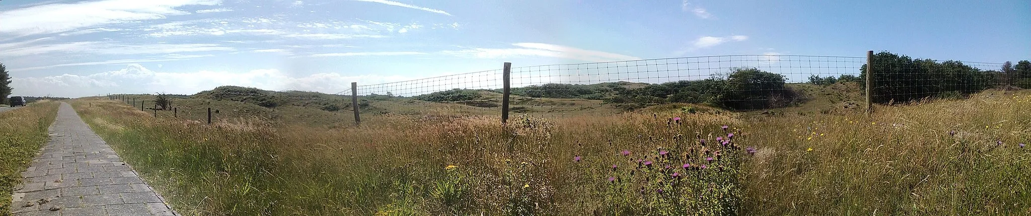 Photo showing: Dune area near Bergen aan Zee (Zeeweg)