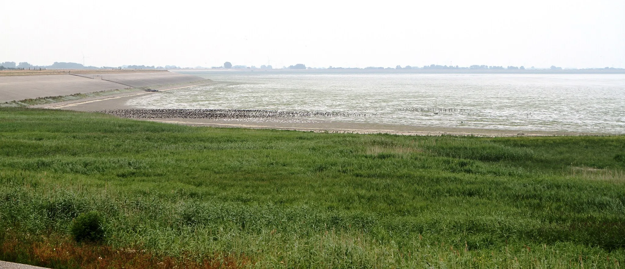 Photo showing: Image from the Amsteldiep and Amstelmeer shallow sea waters east of Den Helder, and north of  Hippolytushoef, in Westerland in Northern Holland. The dyke that Controls this area is the Amsteldiepdijk.