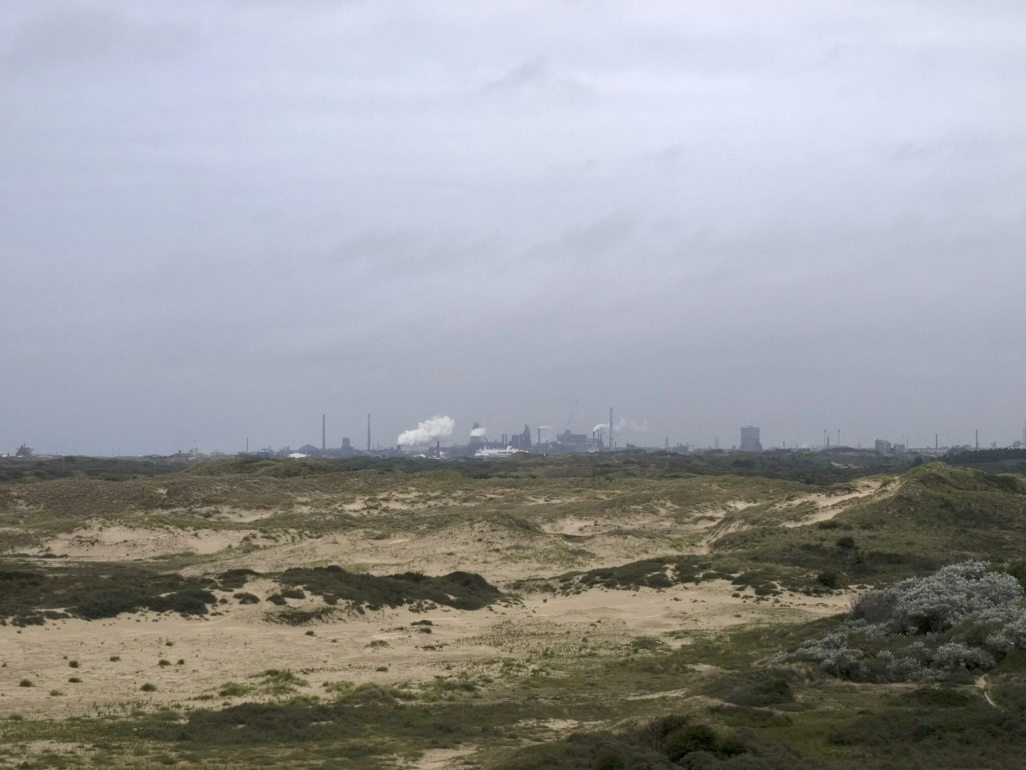 Photo showing: NP Zuid-Kennemerland, sand dunes. At the background is the metallurgy plant in Ijmuiden.