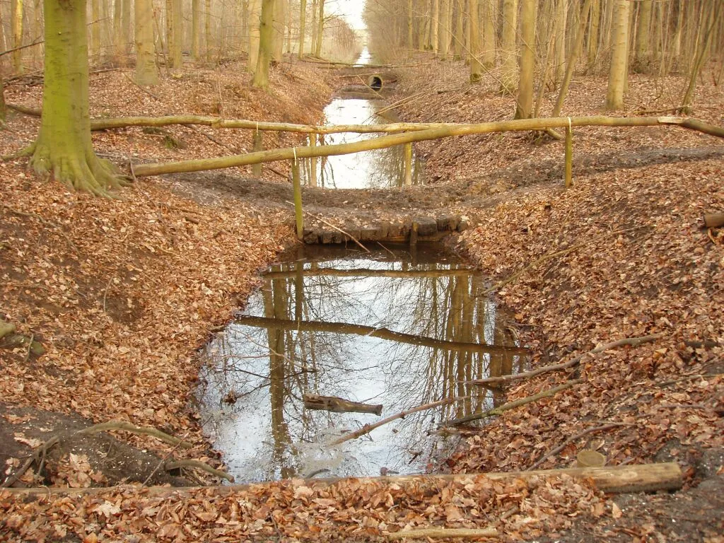 Photo showing: Typerende doorkijk voor Dijkgatbos.