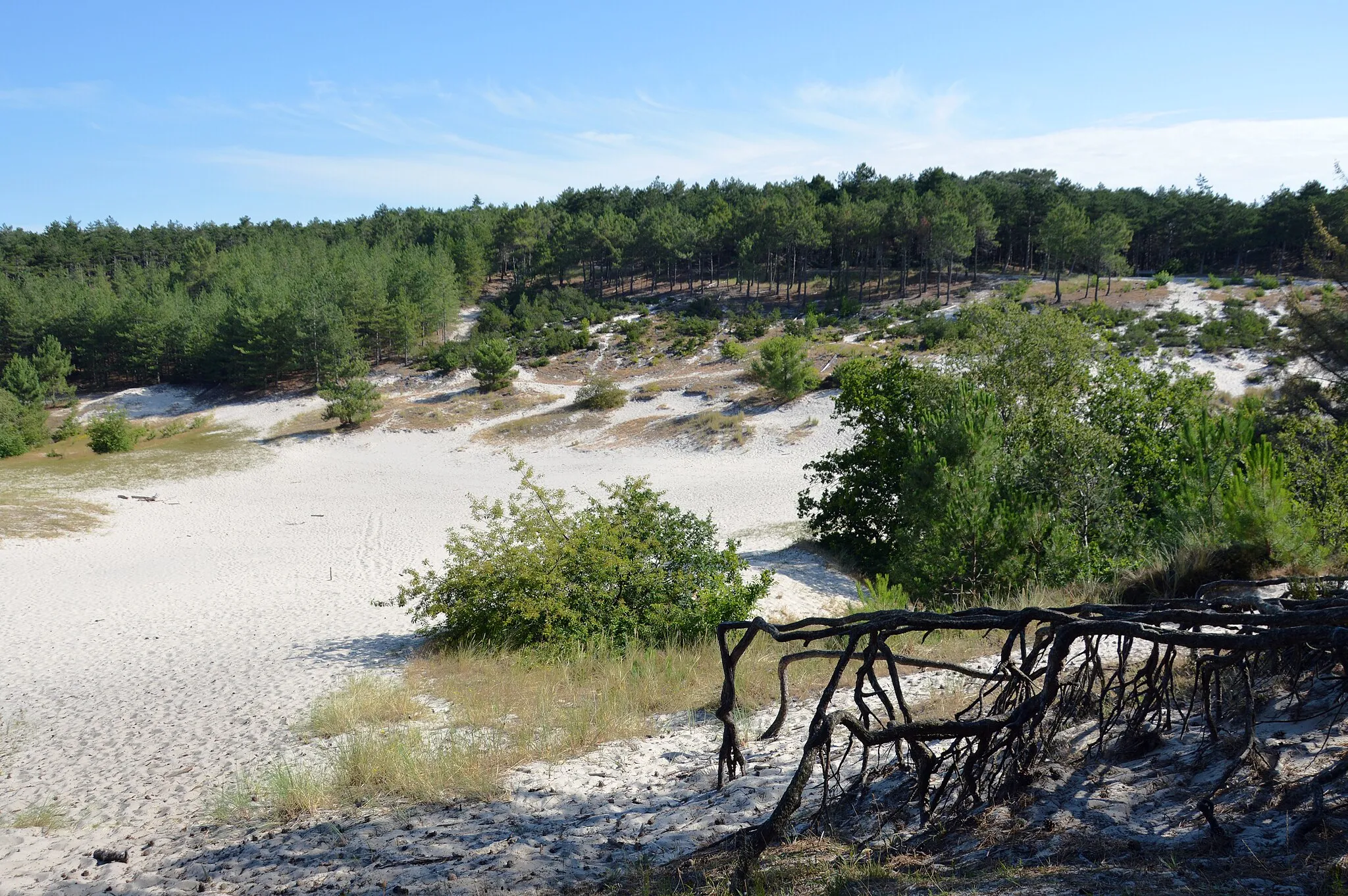 Photo showing: Speelkuil, Schoorlse Duinen, 2022