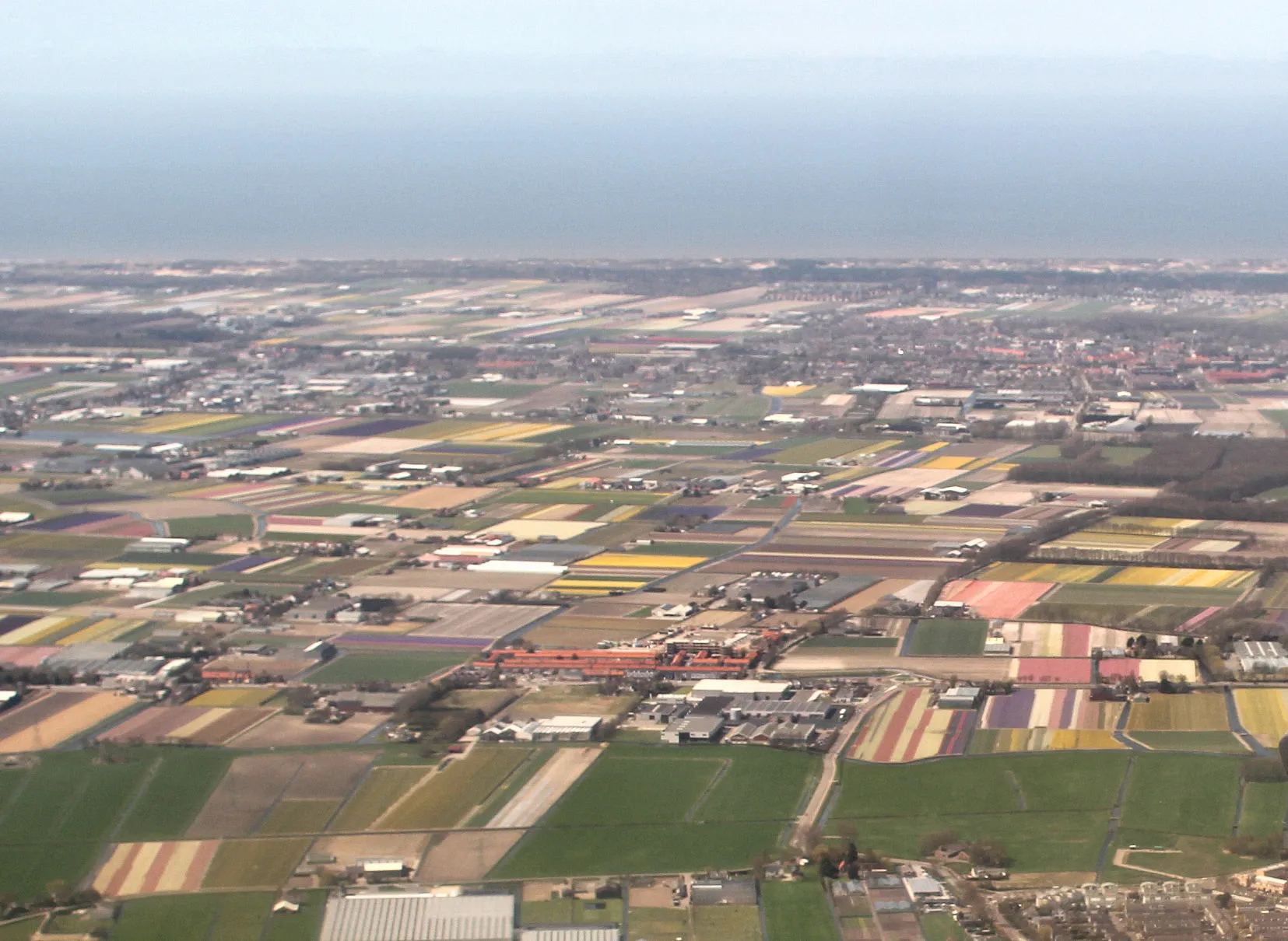 Photo showing: De buurtschap De Engel en de omliggende bollenvelden, gezien naar het Westen. 27 april 2013.