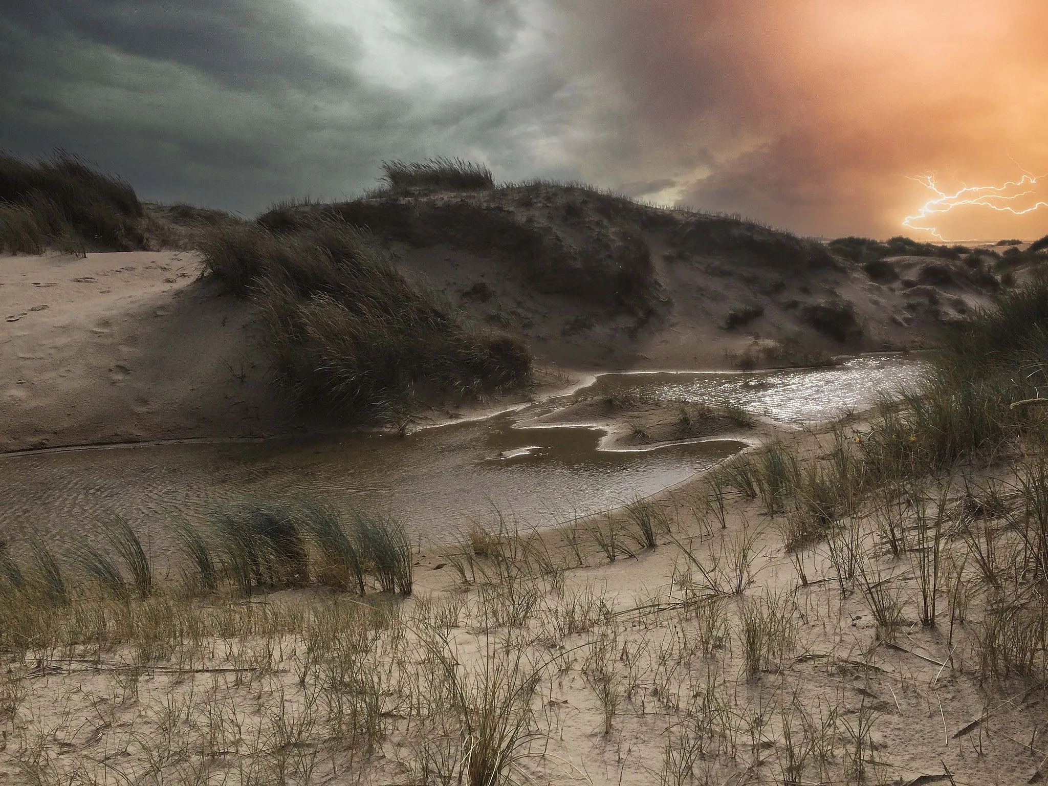 Photo showing: De Hors, Nationaal Park Duinen van Texel