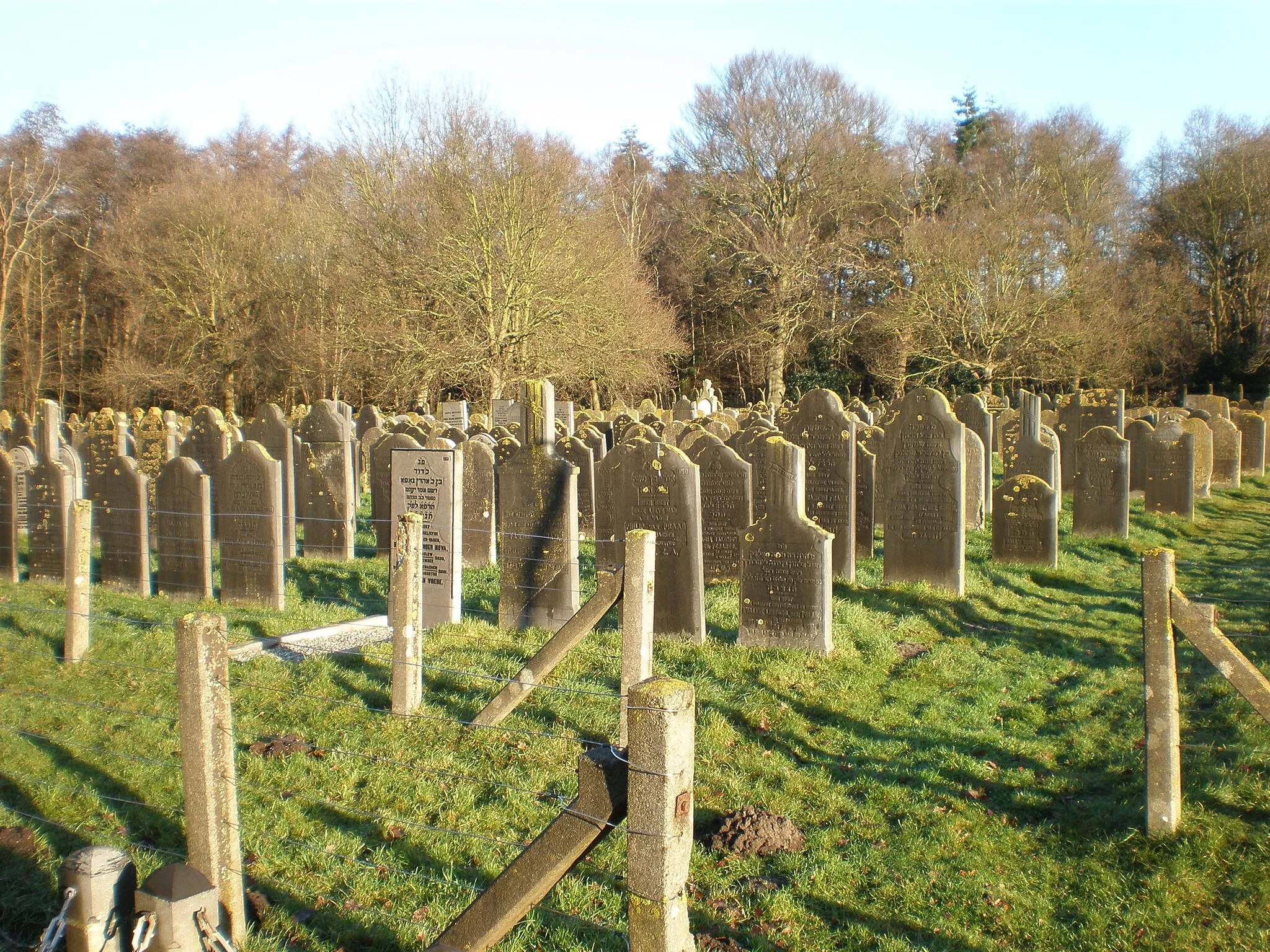 Photo showing: Headstones at the Jewish cemetery in Muiderberg.