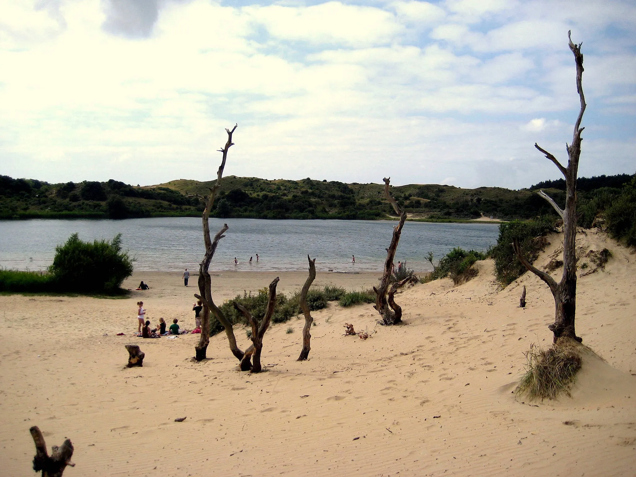 Photo showing: Watering hole 't Wed in Zuid-Kennemerland National Park.