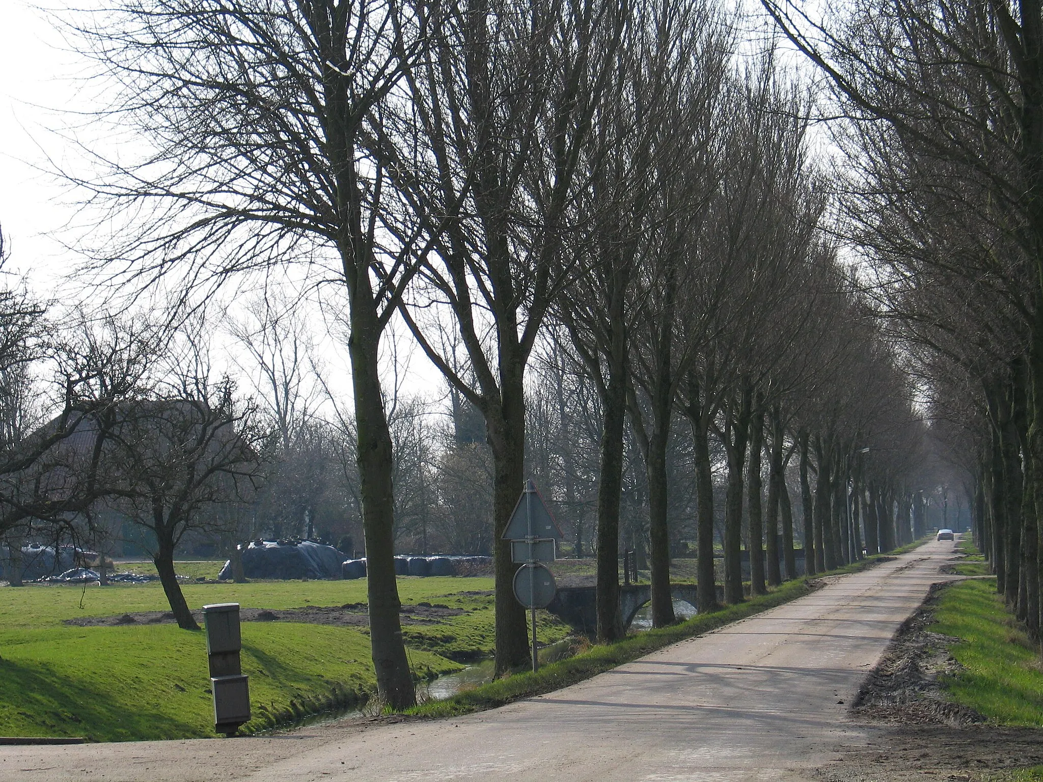 Photo showing: Crossing in the polder the Purmer