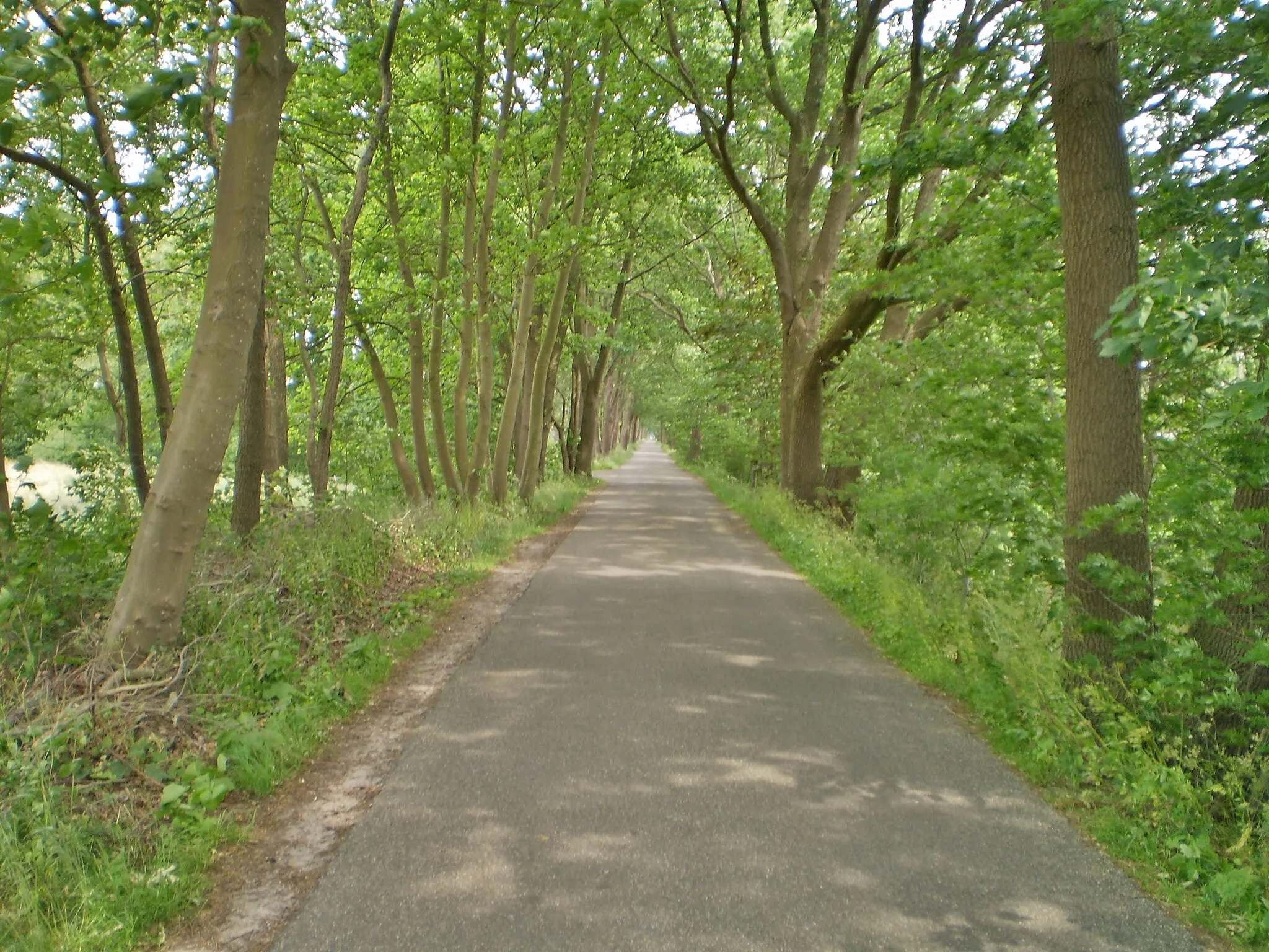 Photo showing: Graaf Floris V Weg, vanuit Egelshoek, richting Hollandsche Rading