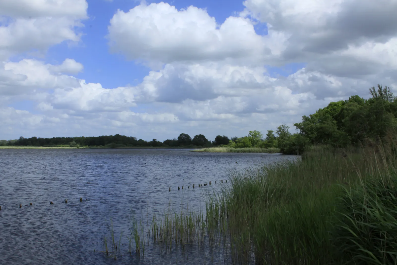 Photo showing: Grote Wije, een plas die onderdeel uitmaakt van natuurgebied Botshol. Botshol is tevens de naam van een buurtschap langs het riviertje de Waver.