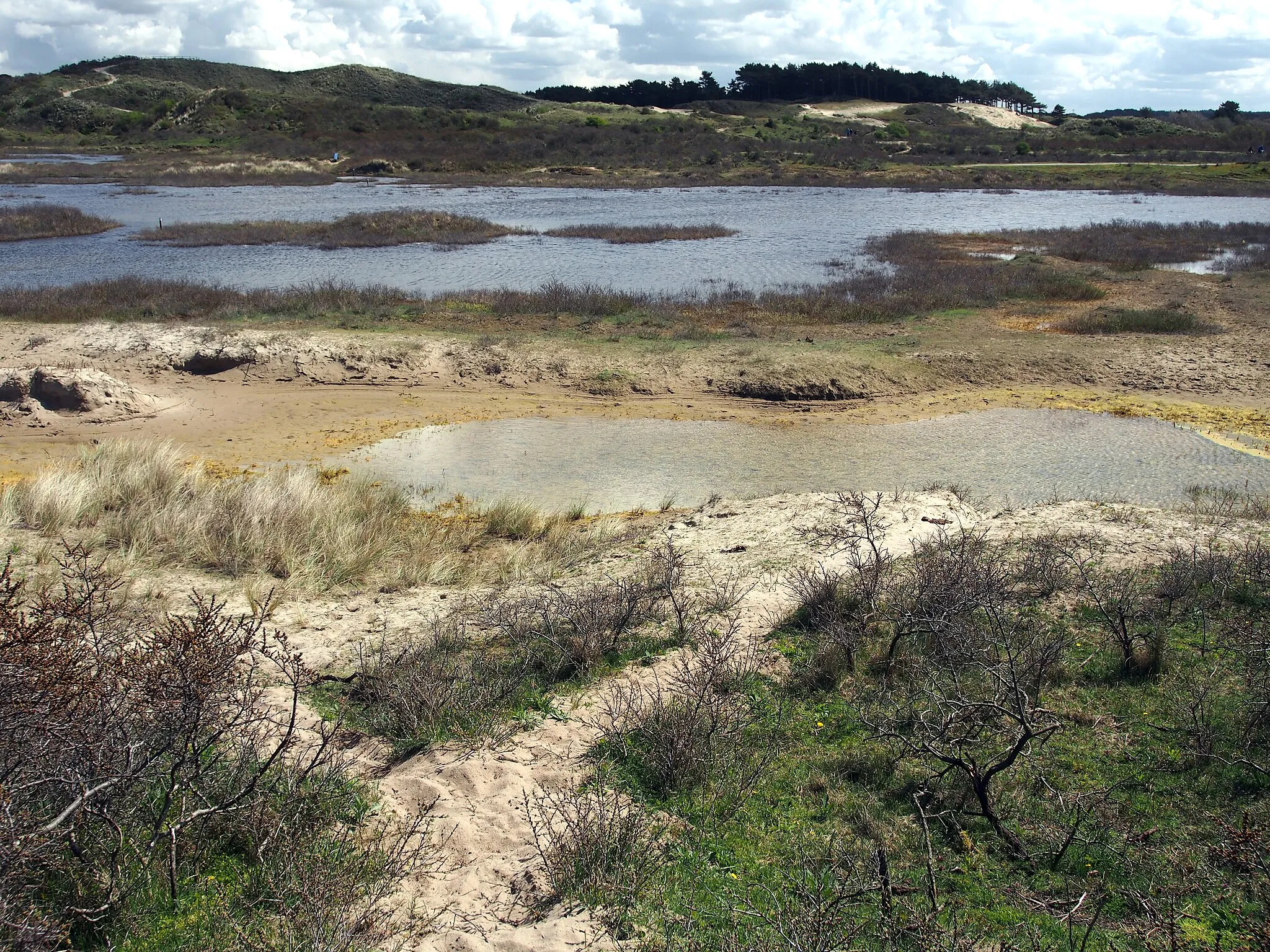 Photo showing: Nationaal Park Zuid-Kennemerland.