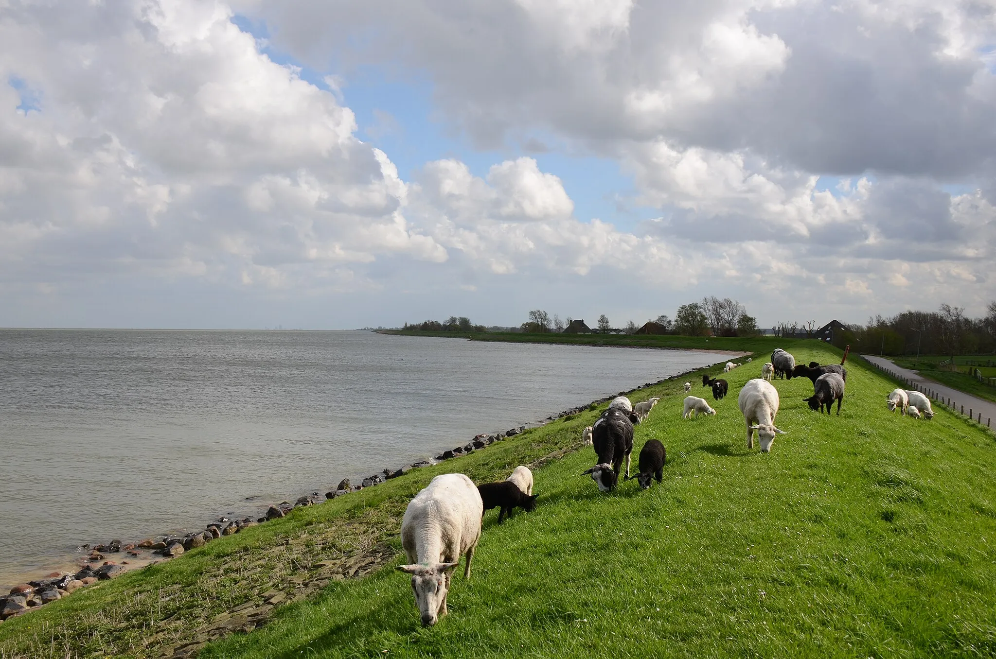 Photo showing: Dutch panorama at the Markermeer dike near Scharwoude