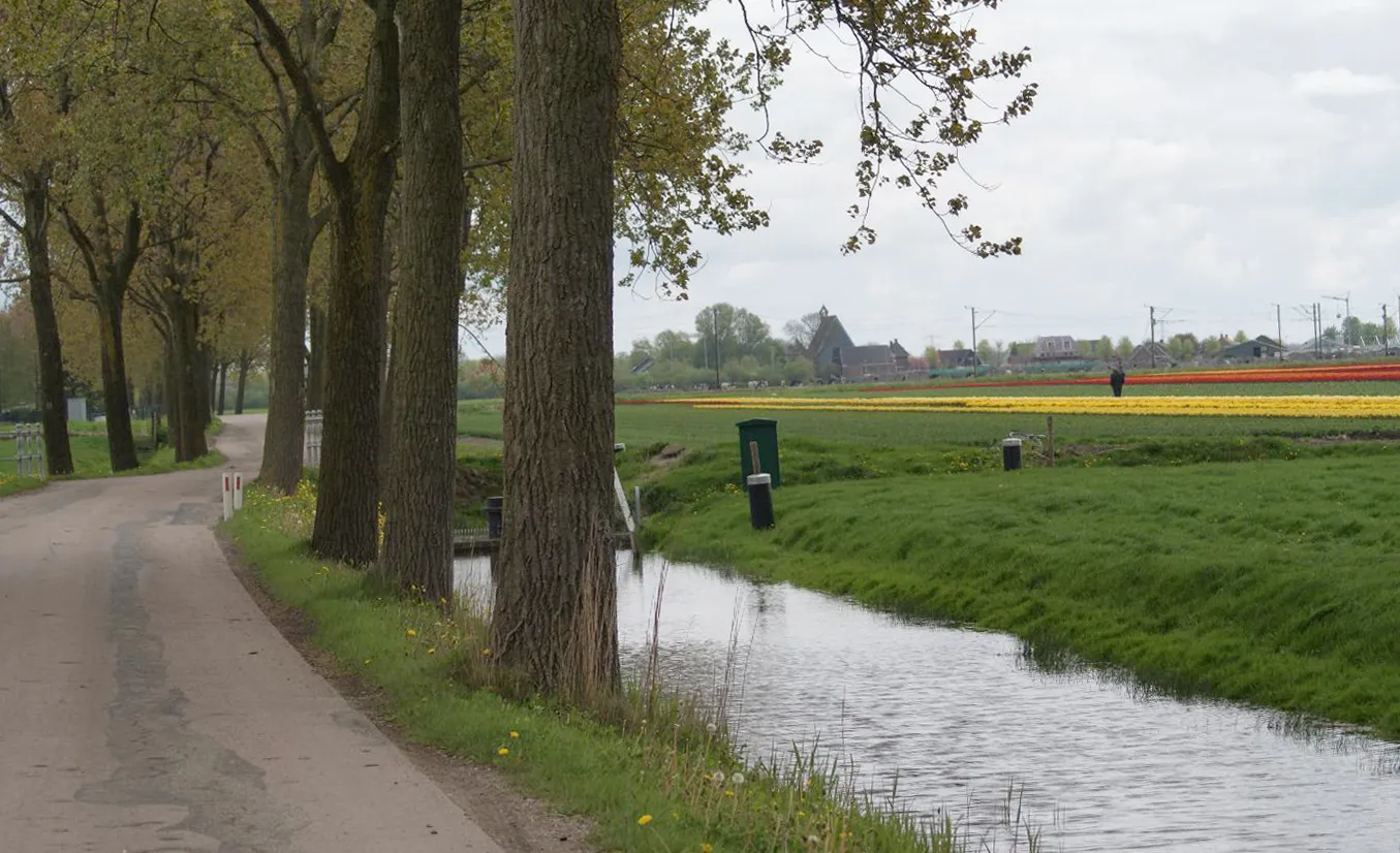 Photo showing: A road in Zuidermeer, Holland