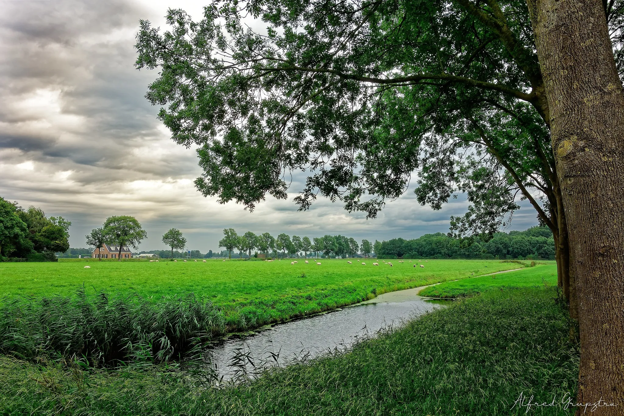 Photo showing: Foto gemaakt op een bewolkte dag in Zuidermeer, Noord Holland