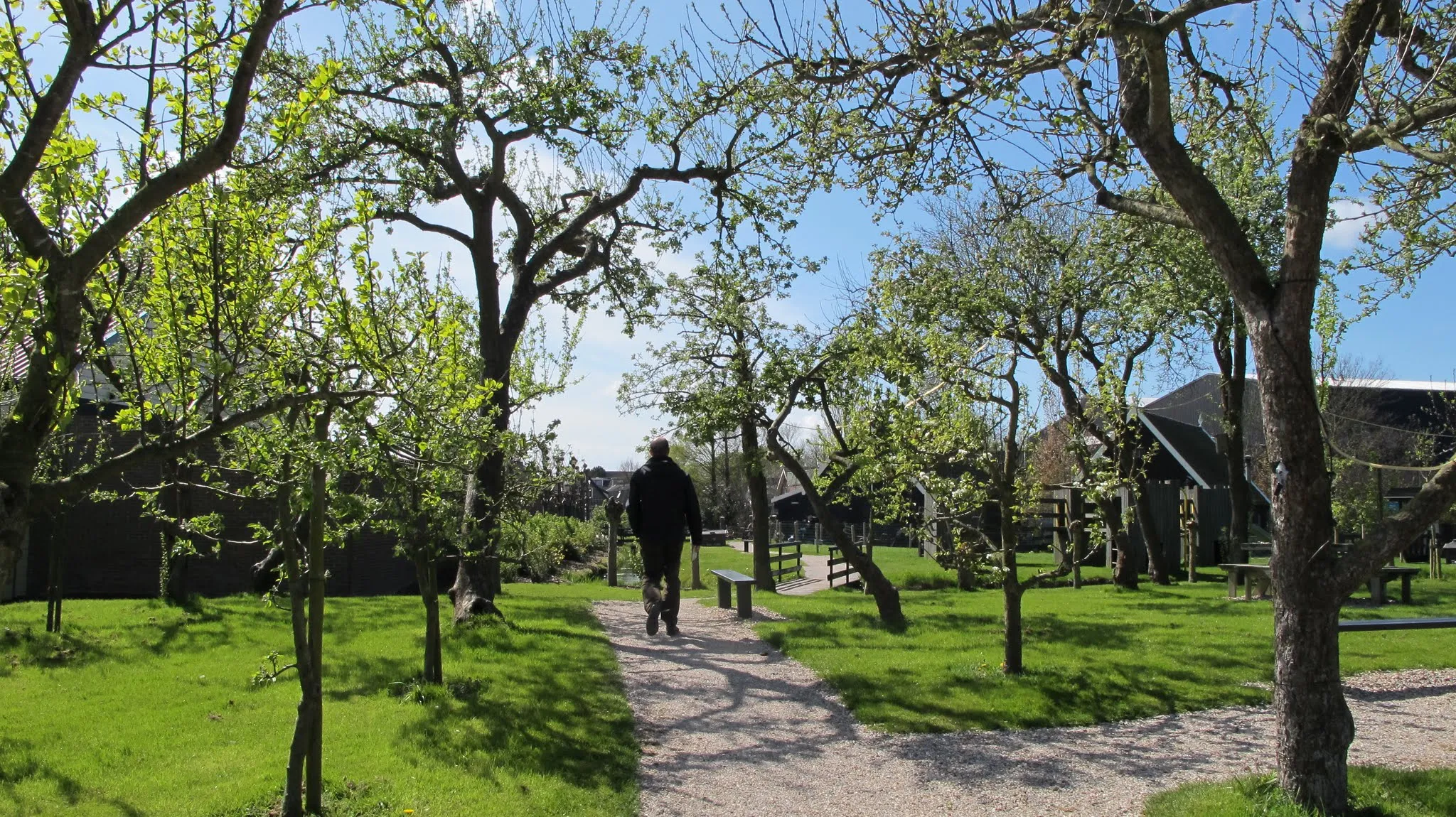 Photo showing: Broek op Langedijk, Netherlands