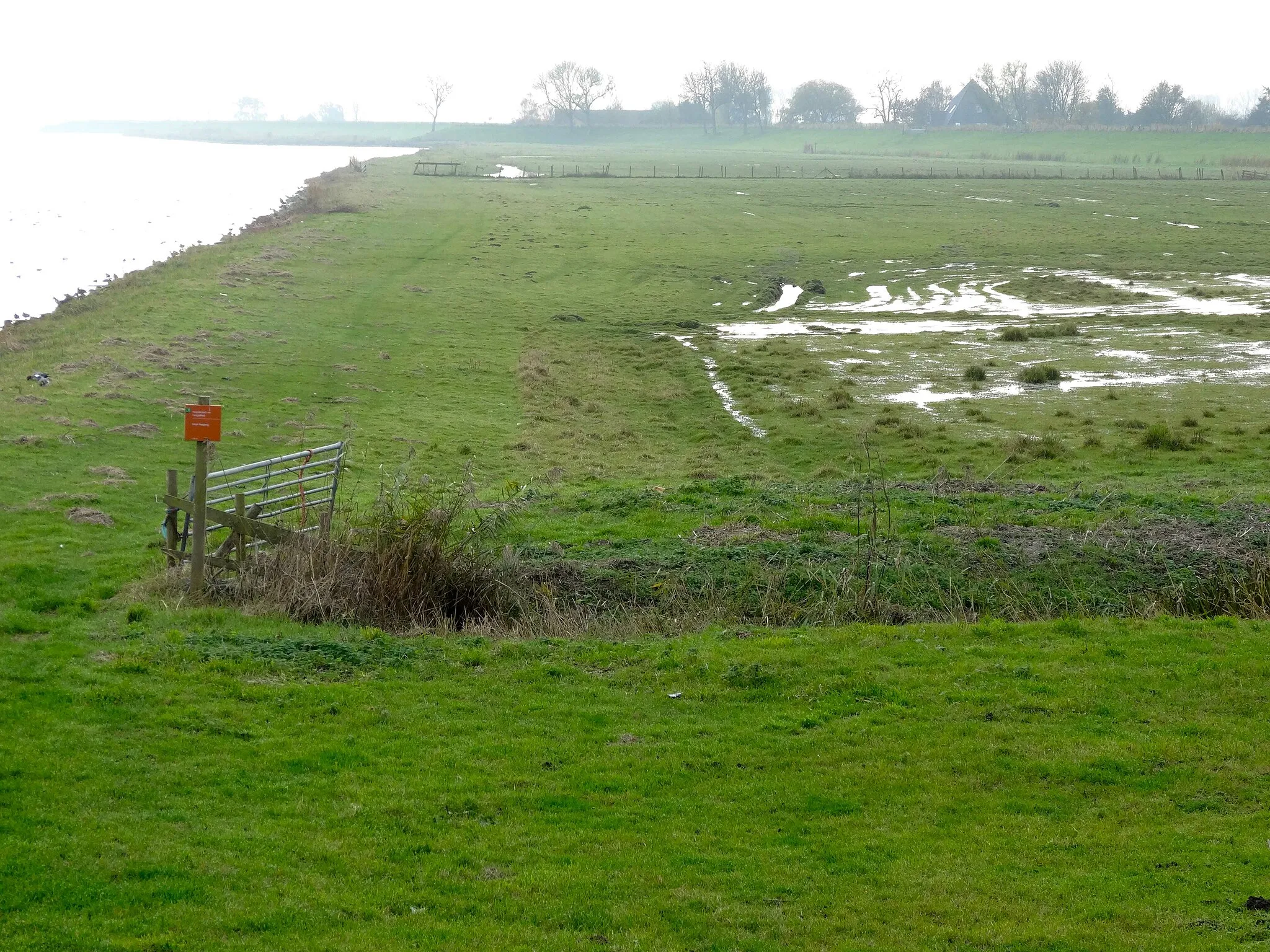 Photo showing: Buitendijksland aan het Markermeer tussen Tersluis en Oostergouw